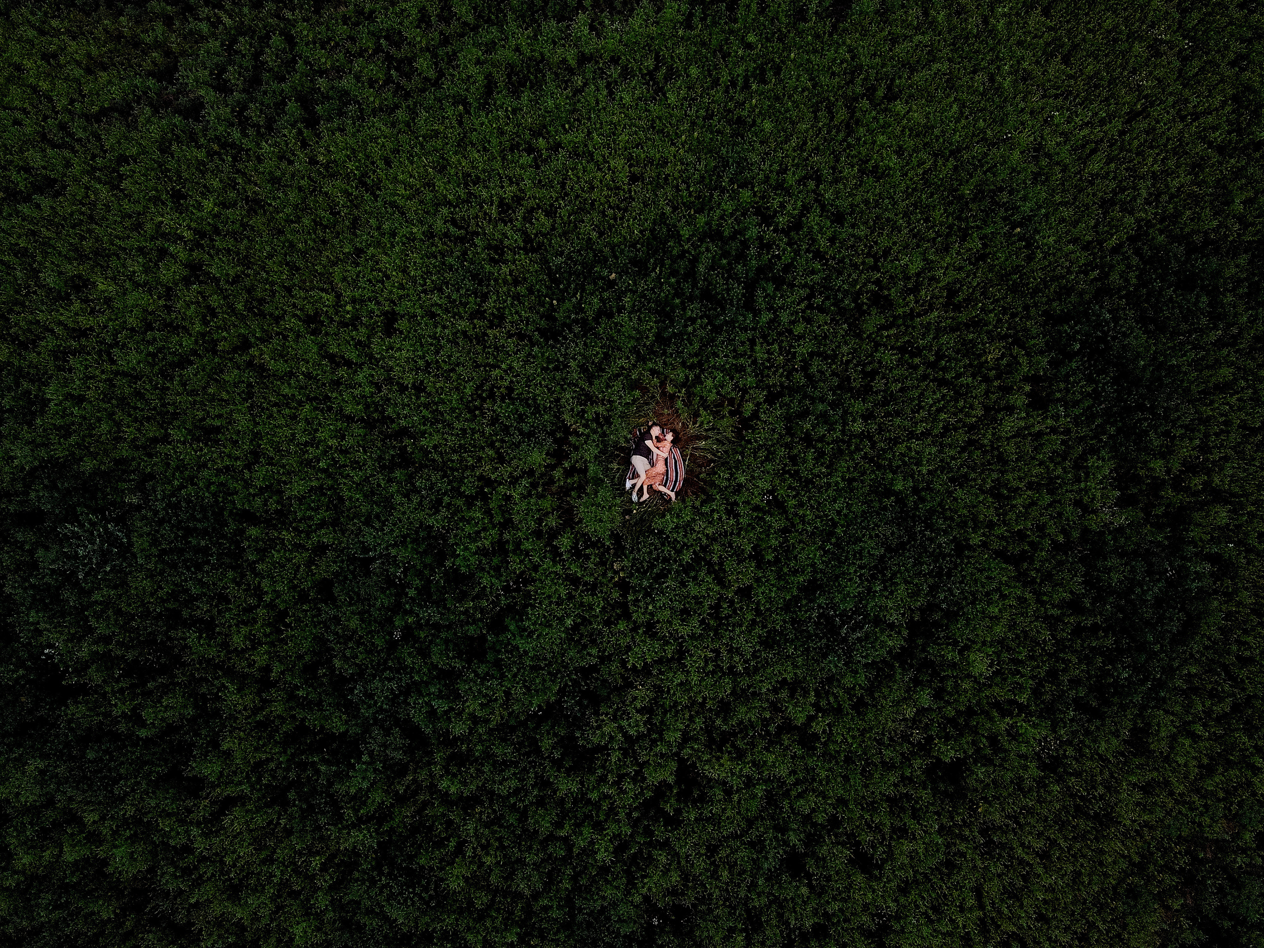 Олеся + Слава + Соломійка. Semashko Photography — весільне та сімейне фото, Олег І Наталі Семашко