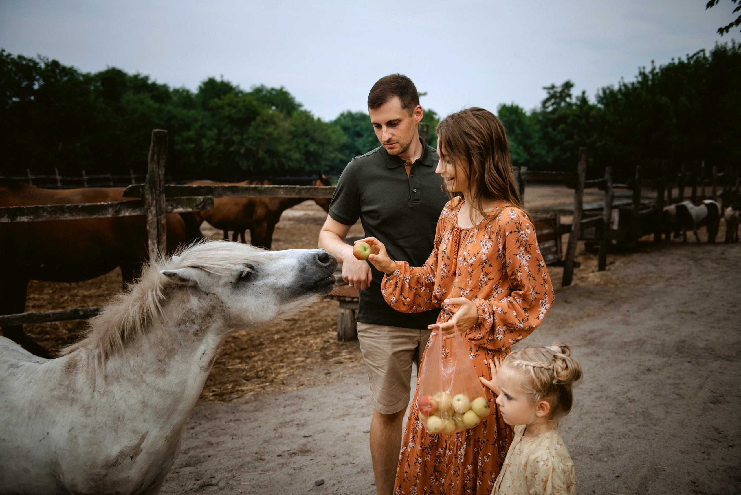 Відгуки. Semashko Photography — весільне та сімейне фото, Олег І Наталі Семашко