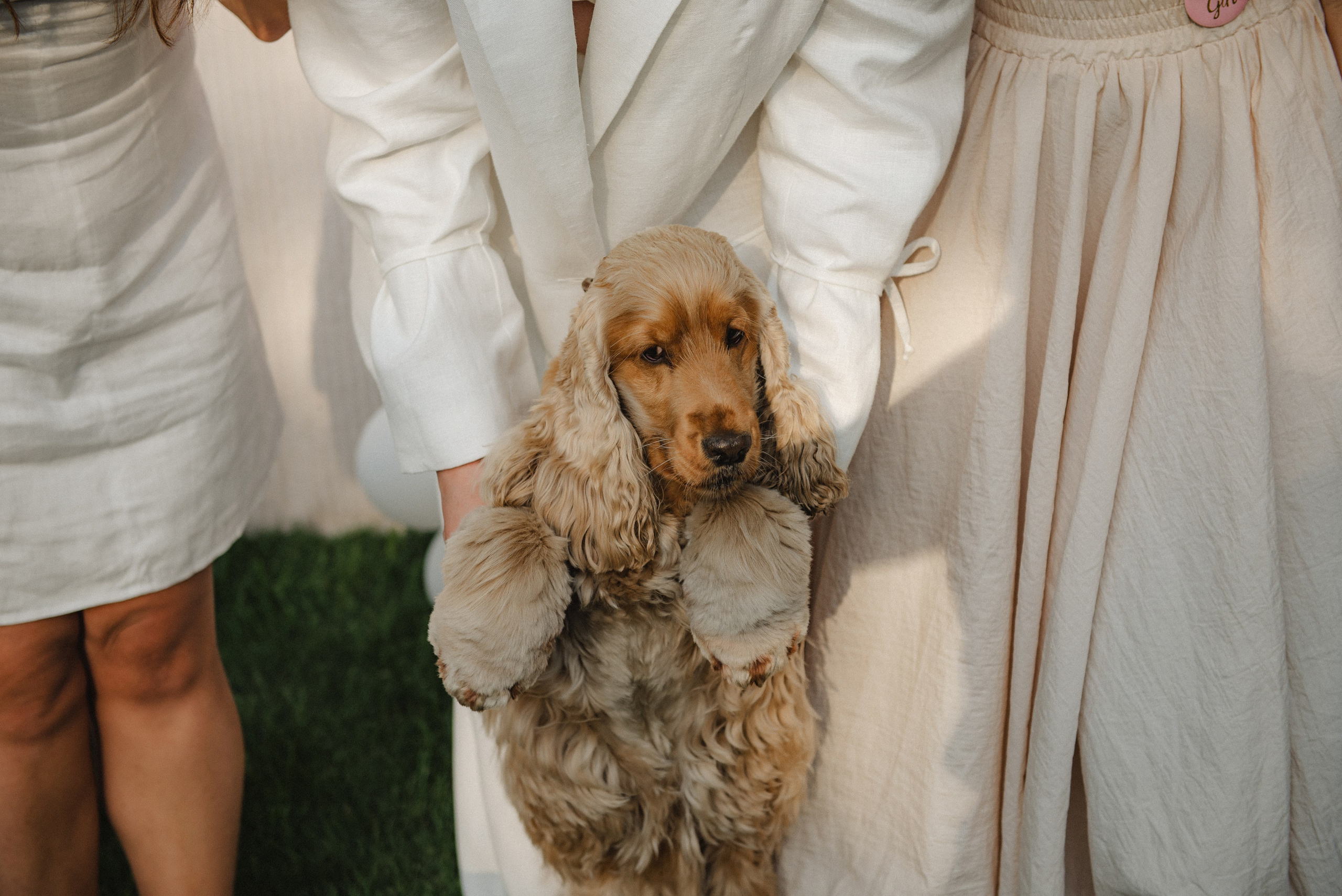 Гендер Паті Аня та Сашко. Semashko Photography — весільне та сімейне фото, Олег І Наталі Семашко