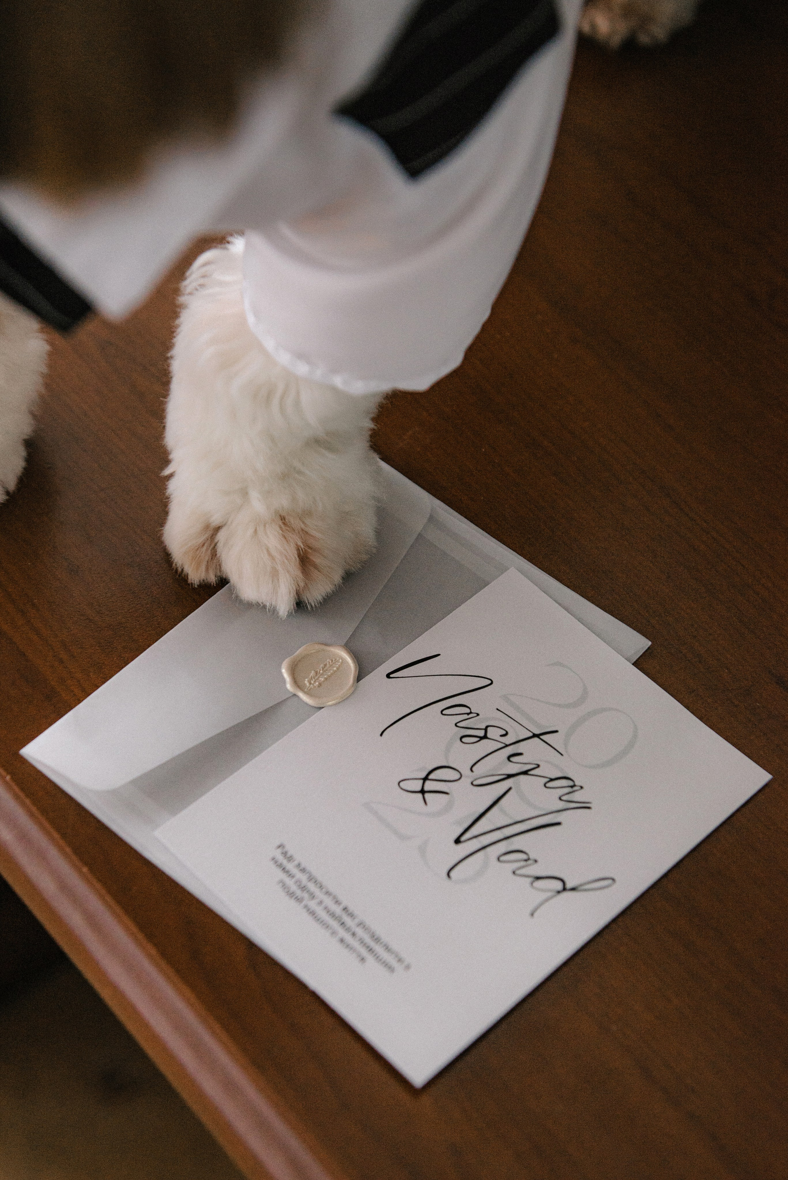 Анастасія та Владислав. Semashko Photography — весільне та сімейне фото, Олег І Наталі Семашко