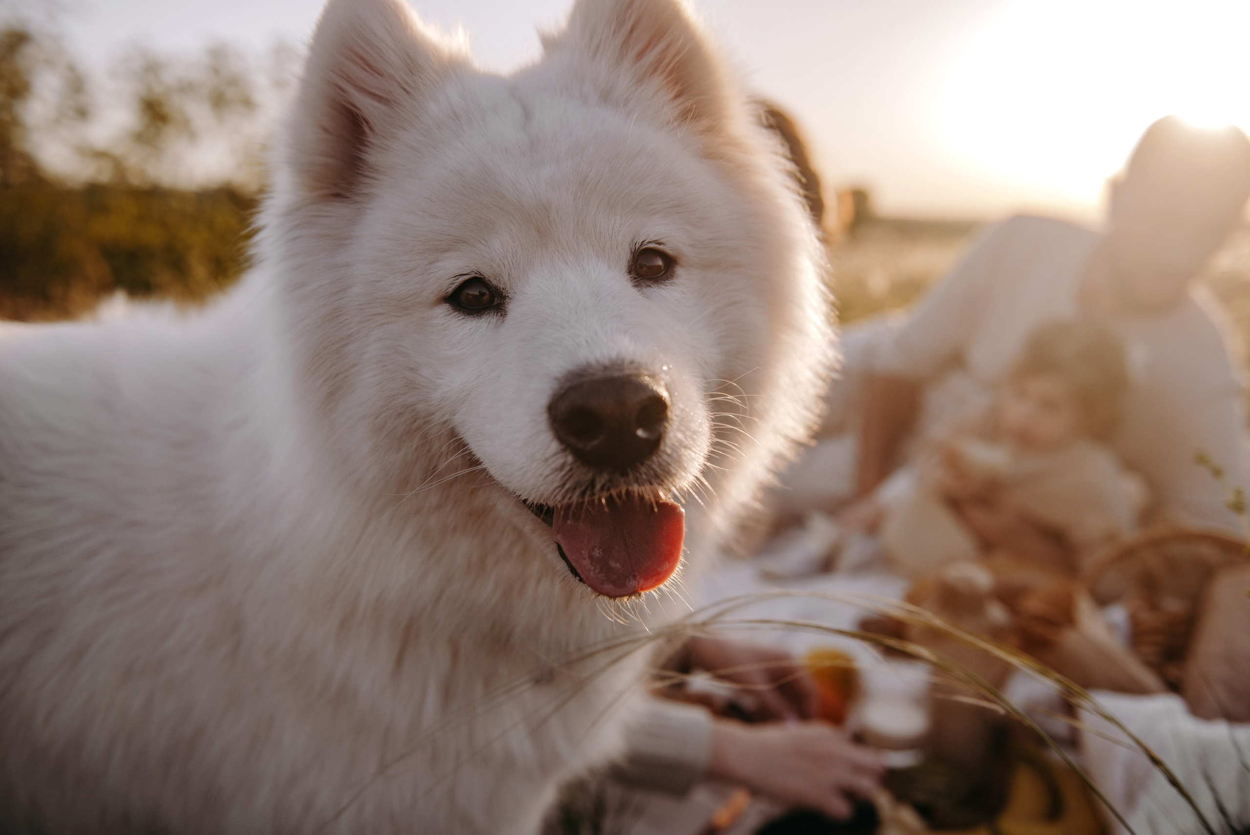 Женя+Катя+Ліза. Semashko Photography — весільне та сімейне фото, Олег І Наталі Семашко