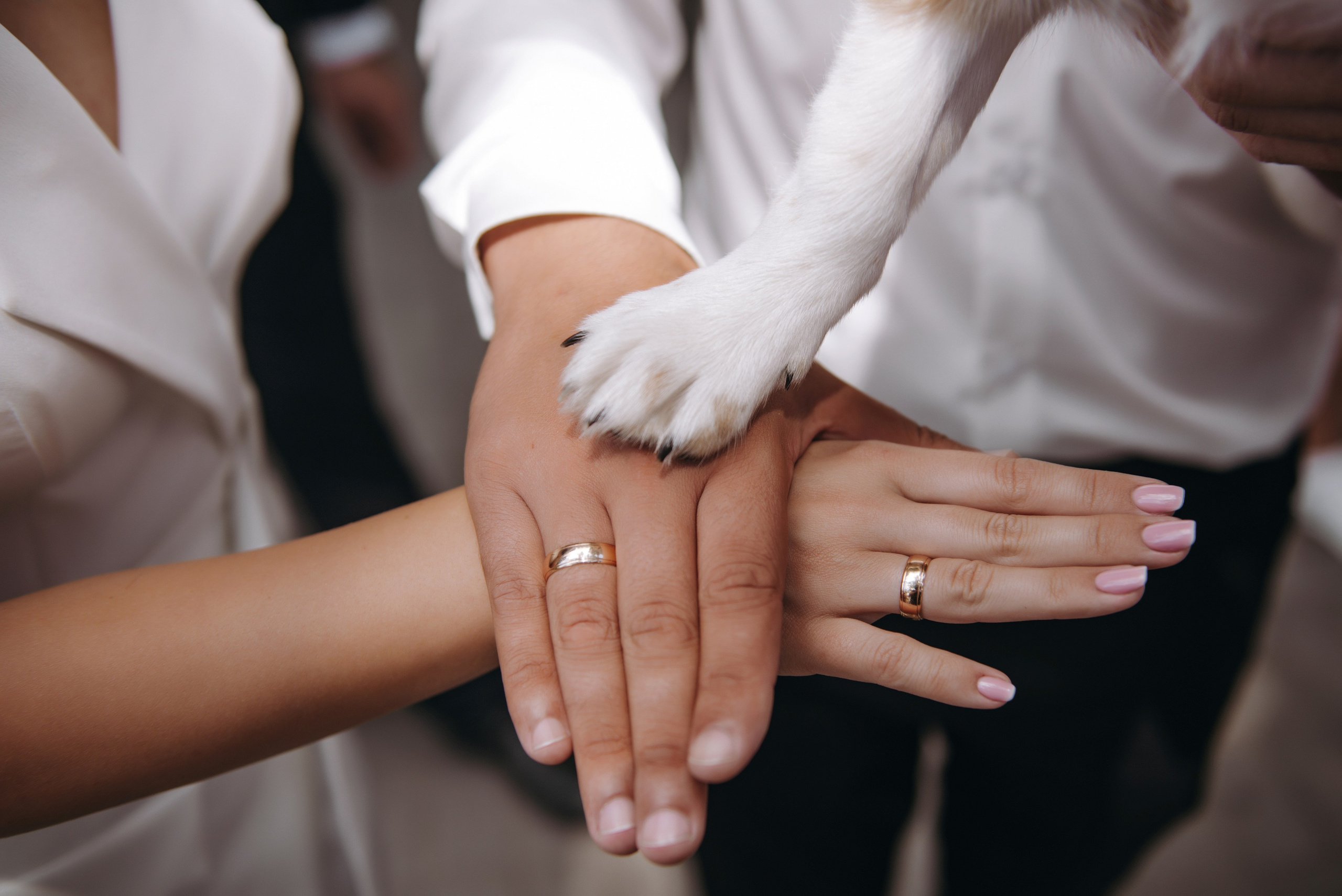 Оля та Сашко. Semashko Photography — весільне та сімейне фото, Олег І Наталі Семашко