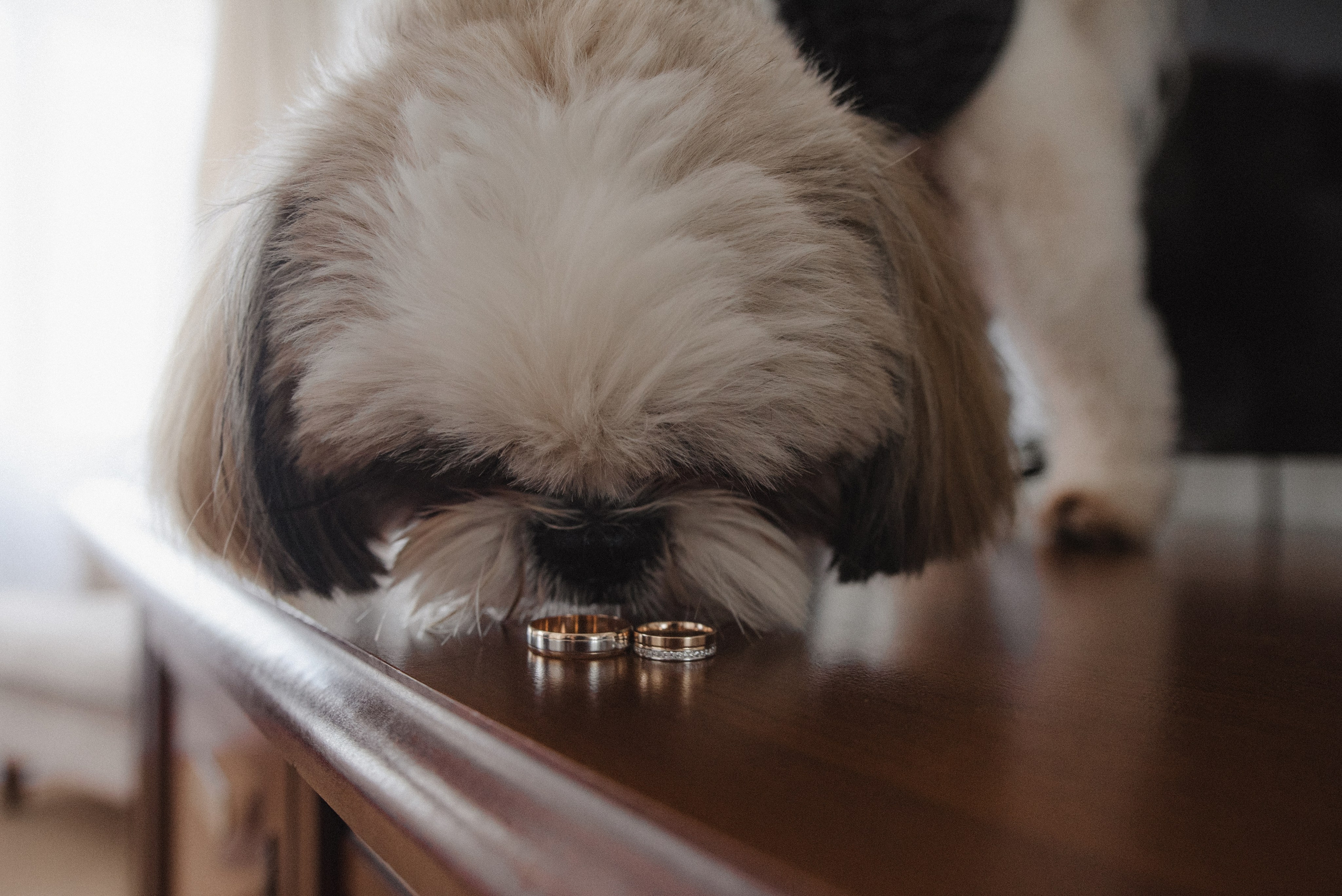 Анастасія та Владислав. Semashko Photography — весільне та сімейне фото, Олег І Наталі Семашко