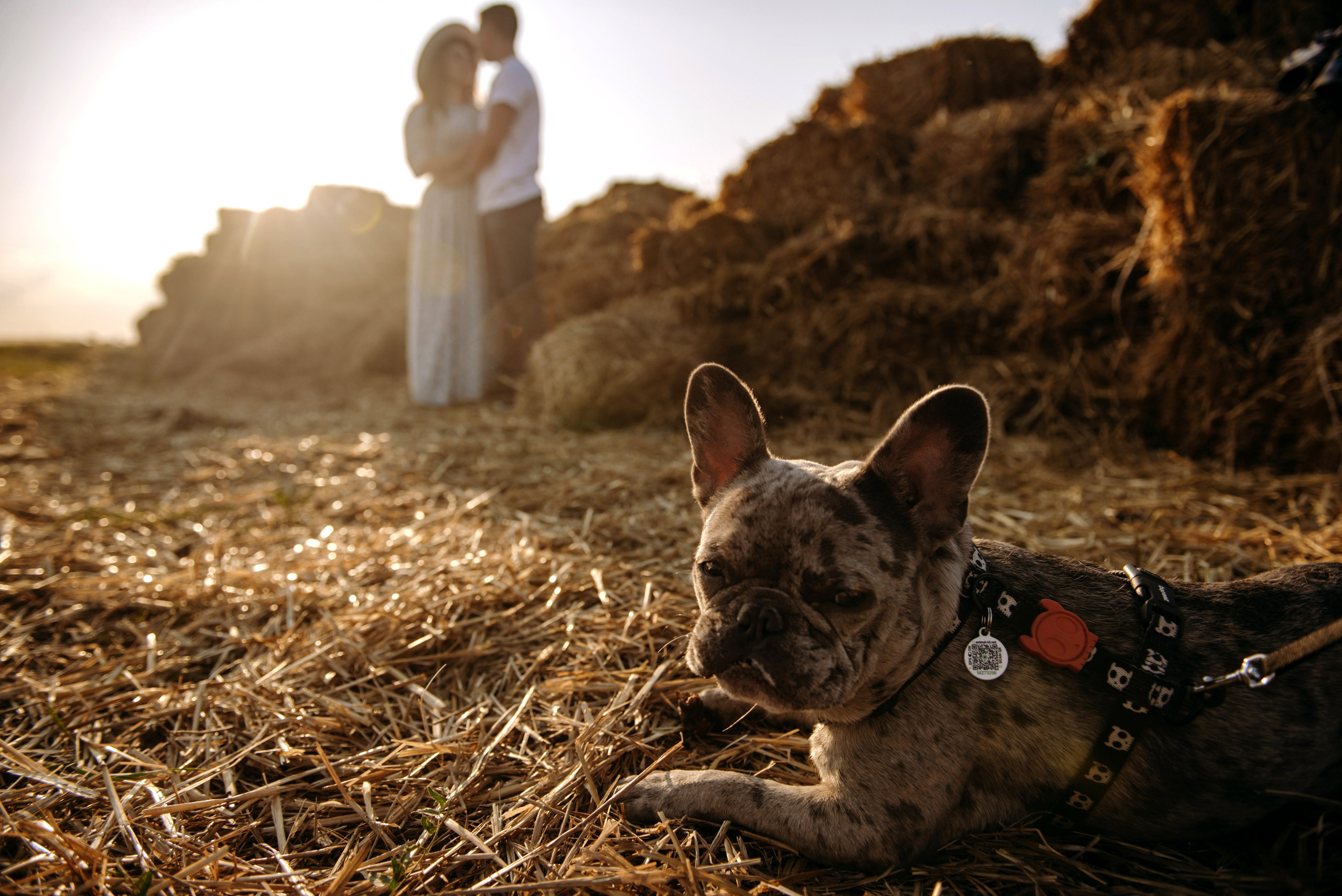 Ліза та Олександр. Semashko Photography — весільне та сімейне фото, Олег І Наталі Семашко