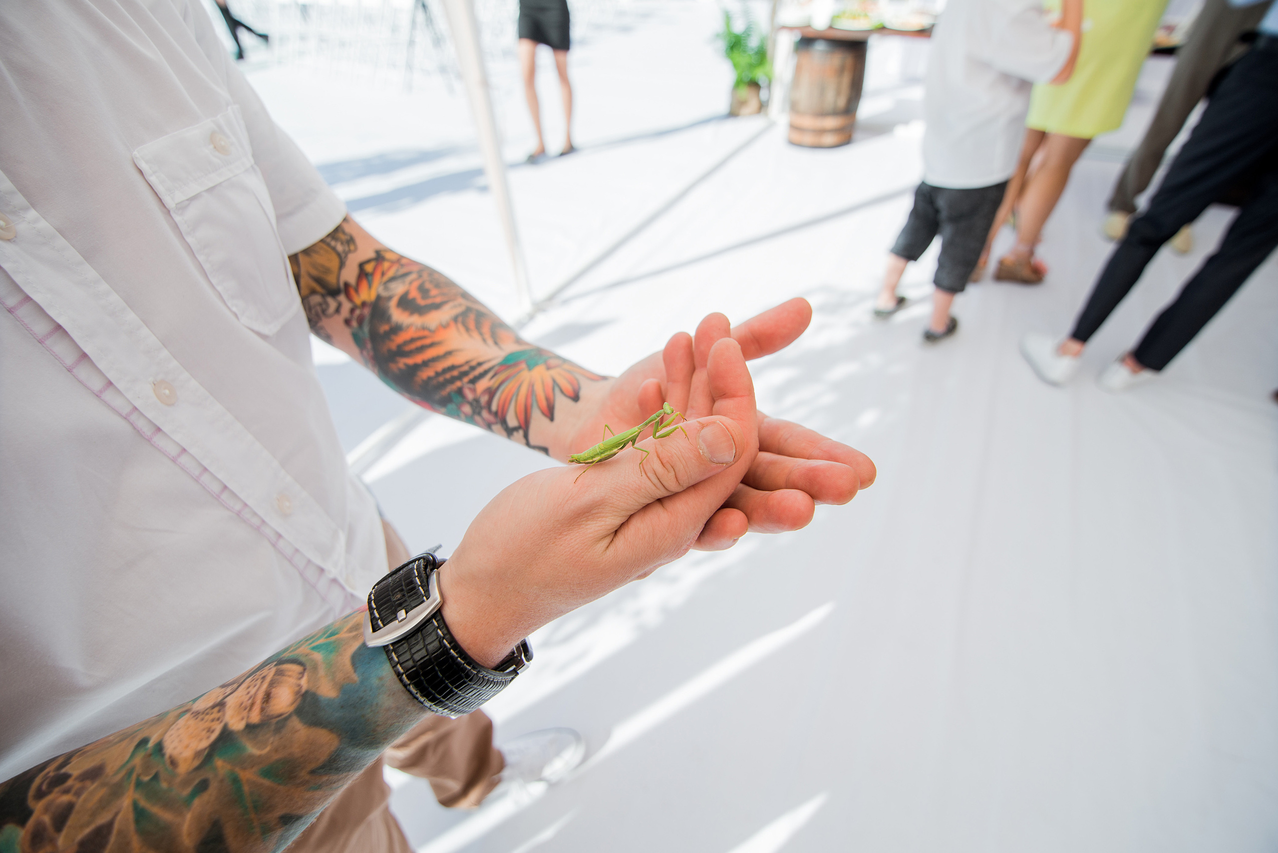 Таня і Олексій. Semashko Photography — весільне та сімейне фото, Олег І Наталі Семашко