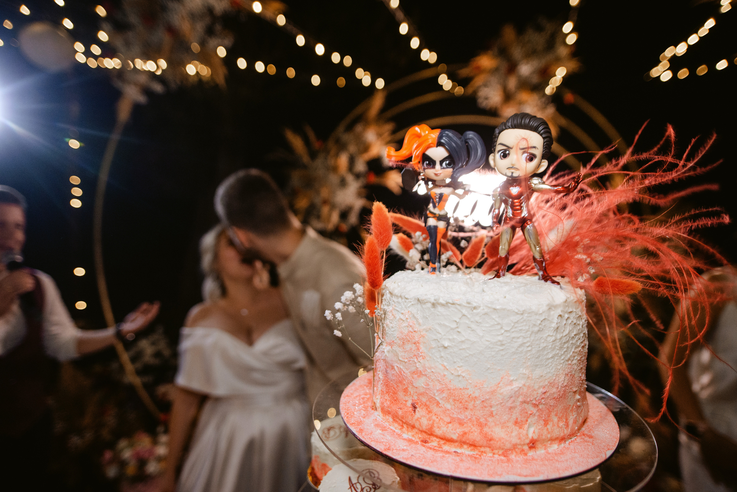 Anna & Vladimir. Semashko Photography — весільні та сімейні фотографи