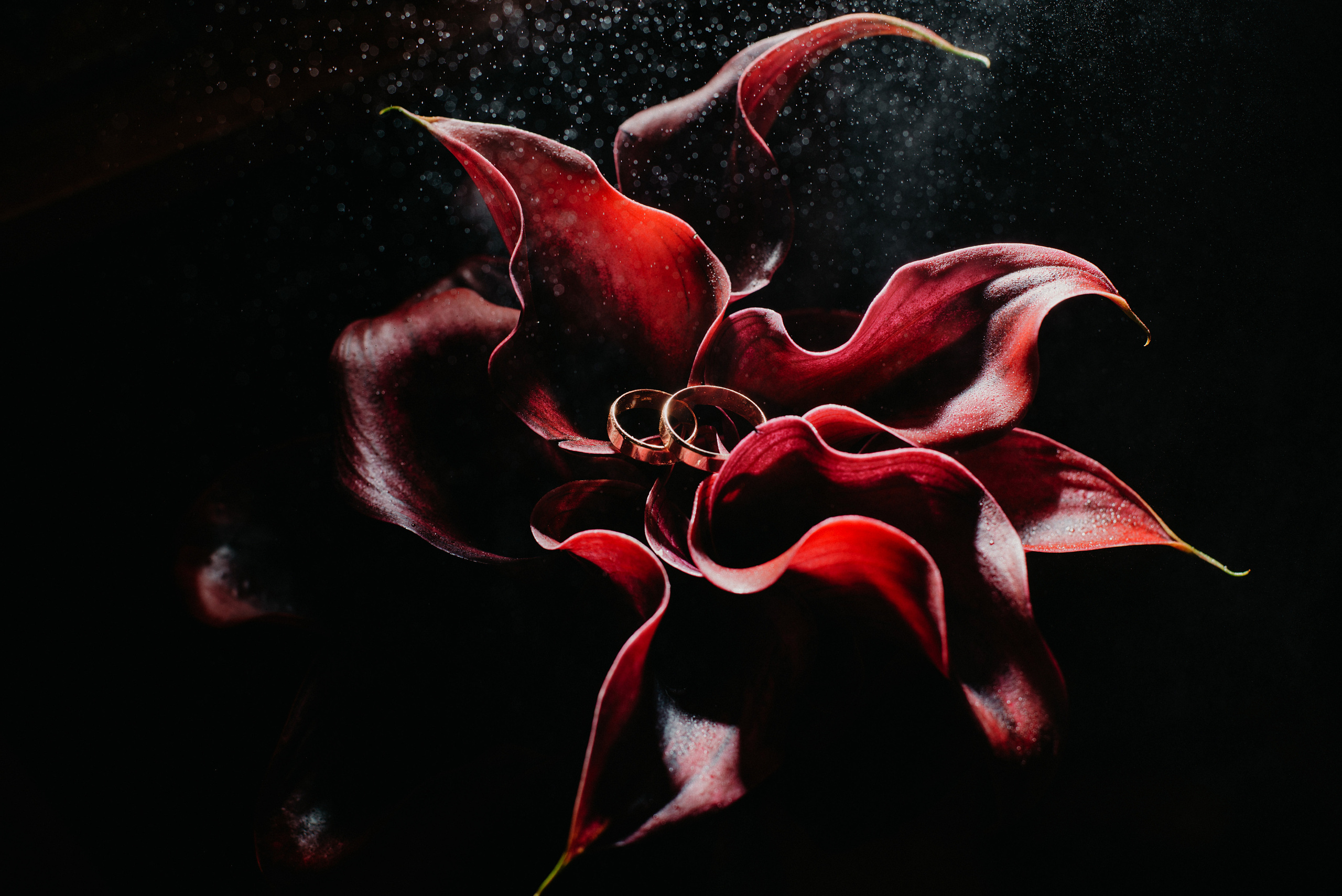 Semashko Photography — весільне та сімейне фото, Олег І Наталі Семашко