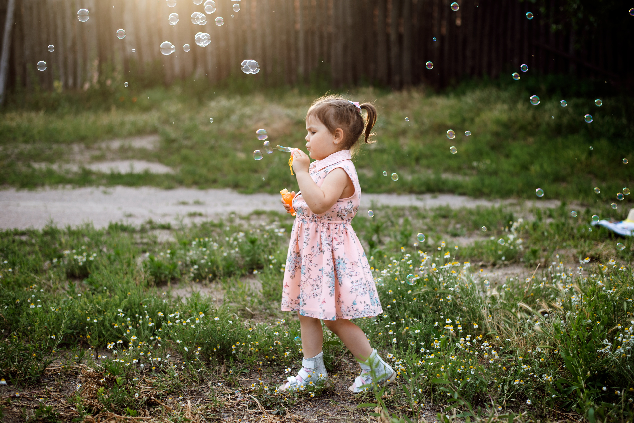 Emilia and family. Semashko Photography — весільні та сімейні фотографи