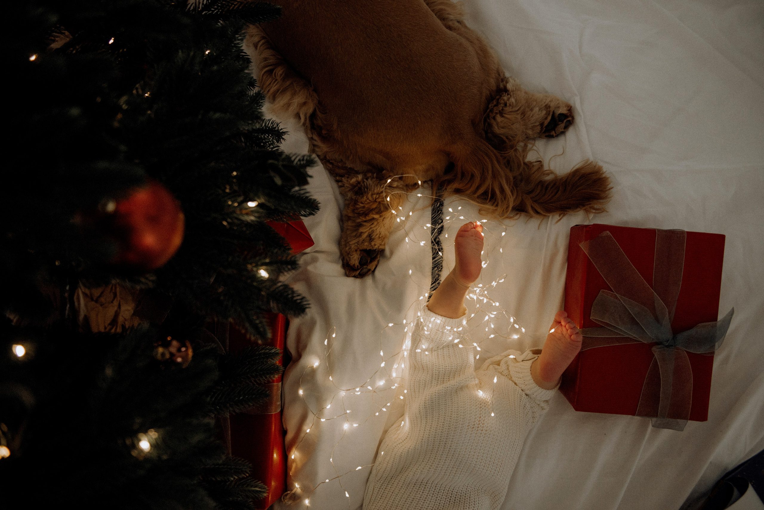 Вєня. Semashko Photography — весільні та сімейні фотографи