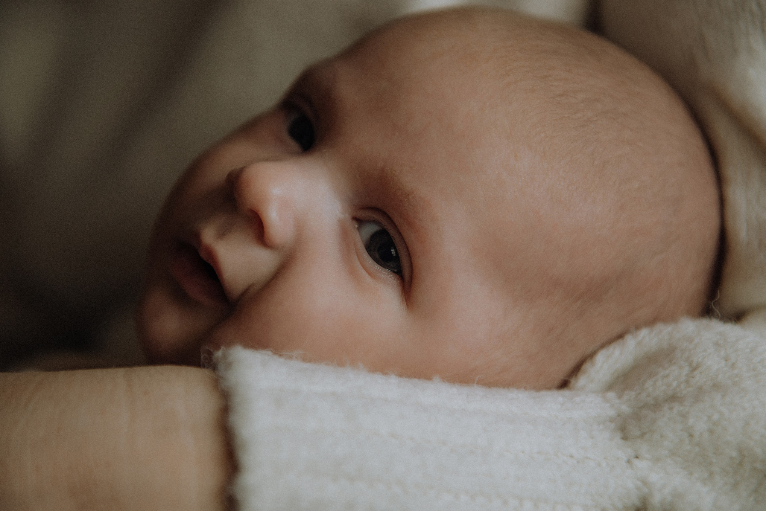 Давід домашня фотосесія. Semashko Photography — весільне та сімейне фото, Олег І Наталі Семашко