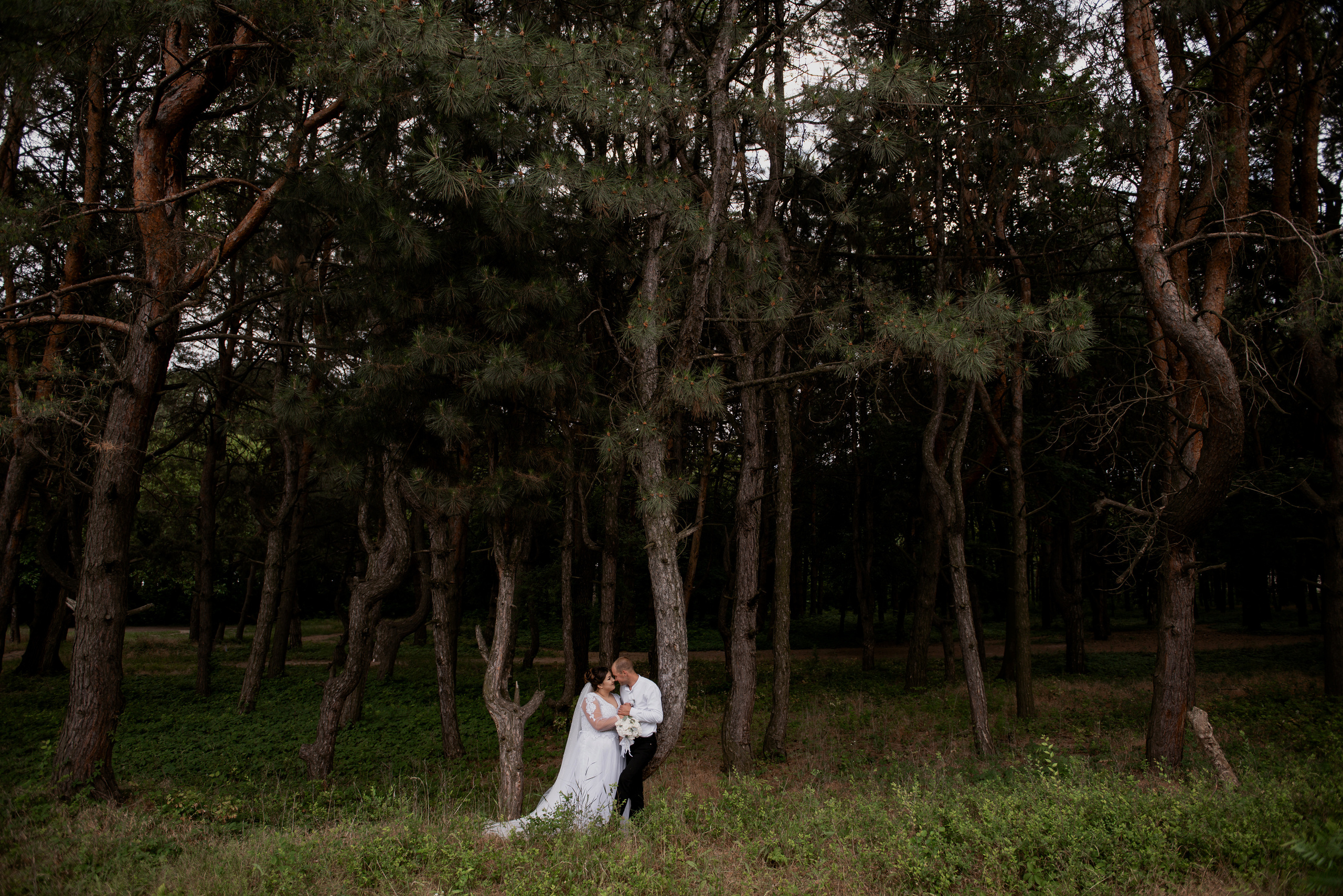 Катя и Влад. Semashko Photography — весільне та сімейне фото, Олег І Наталі Семашко