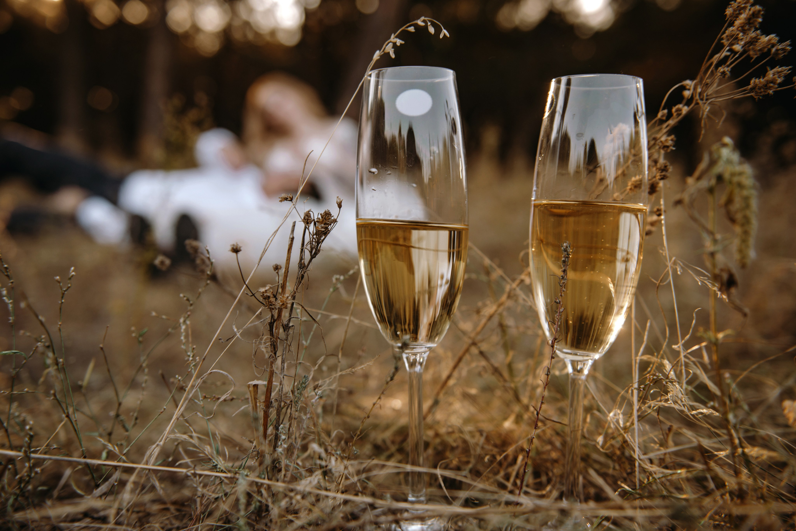 Вікторія та Дмитро. Semashko Photography — весільне та сімейне фото, Олег І Наталі Семашко