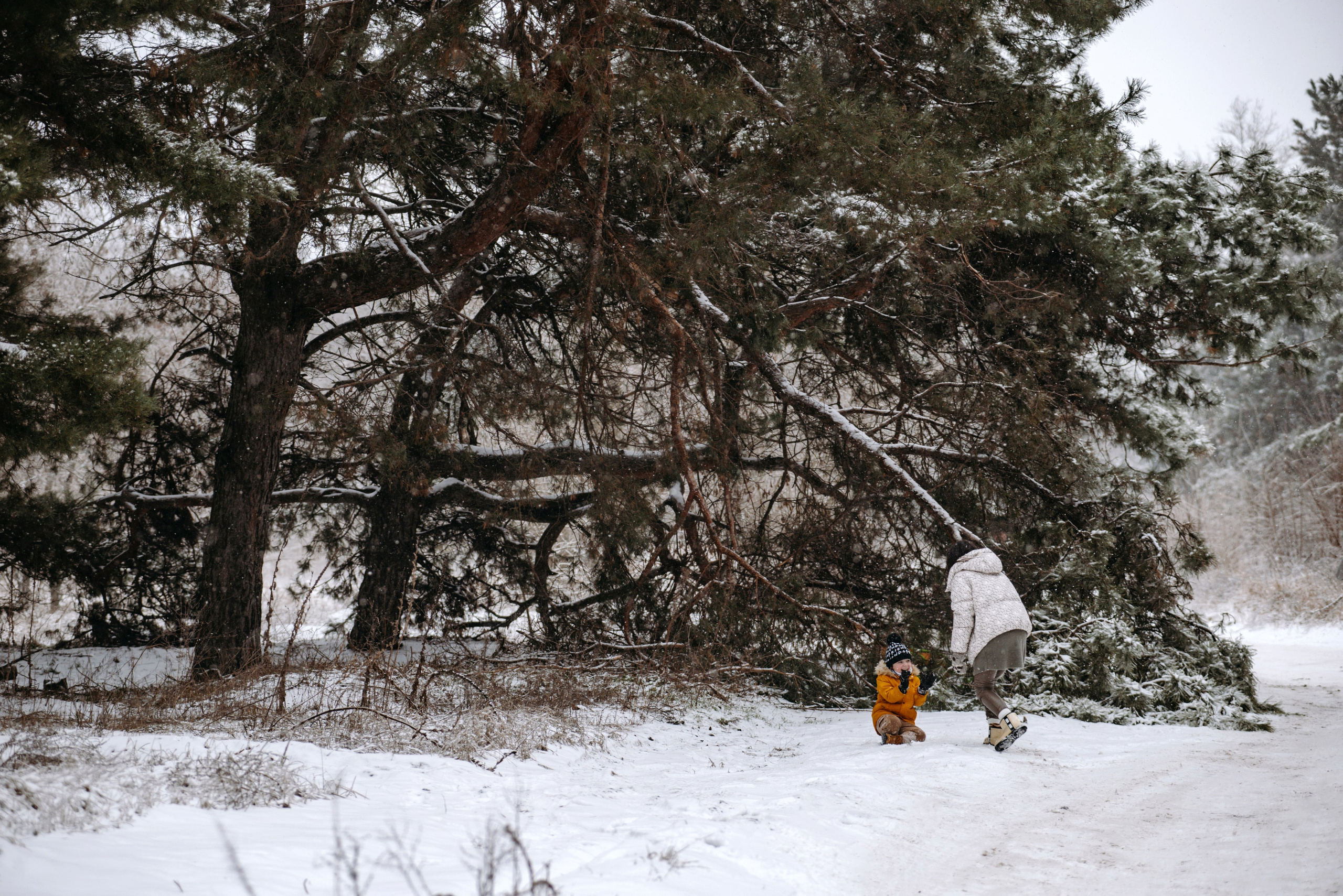 Діана+Саша+Макс. Semashko Photography — весільне та сімейне фото, Олег І Наталі Семашко