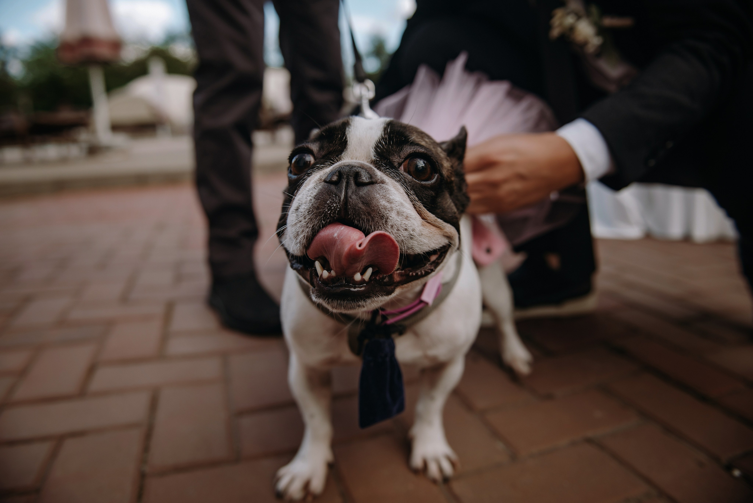 Христина та Андрій. Semashko Photography — весільне та сімейне фото, Олег І Наталі Семашко