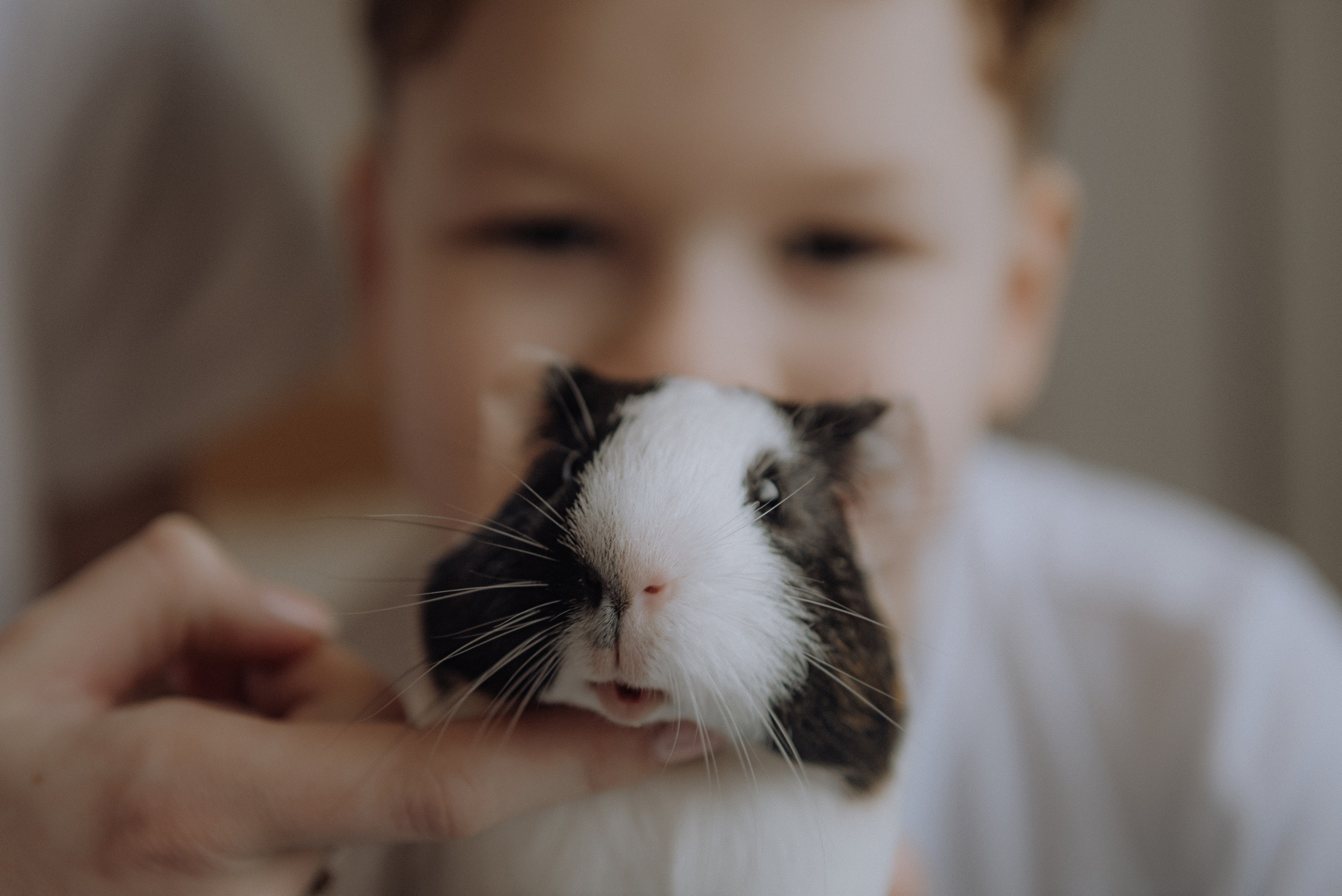 Гордєй. Semashko Photography — весільні та сімейні фотографи