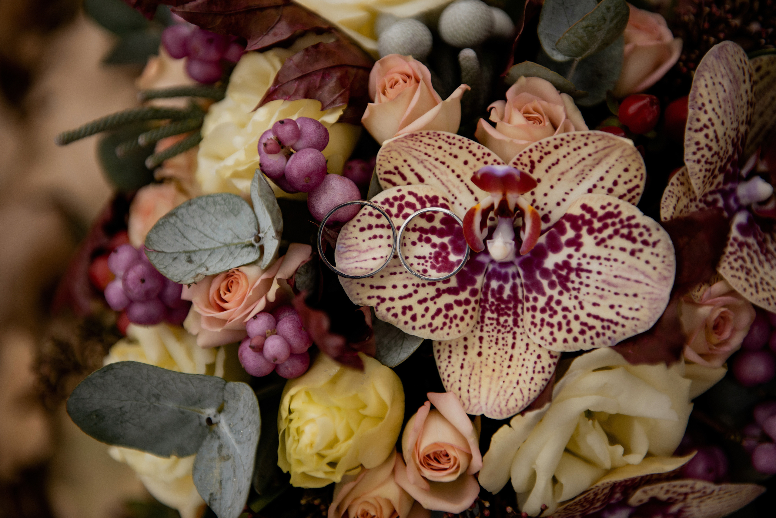 Alina & Ivan. Semashko Photography — весільні та сімейні фотографи
