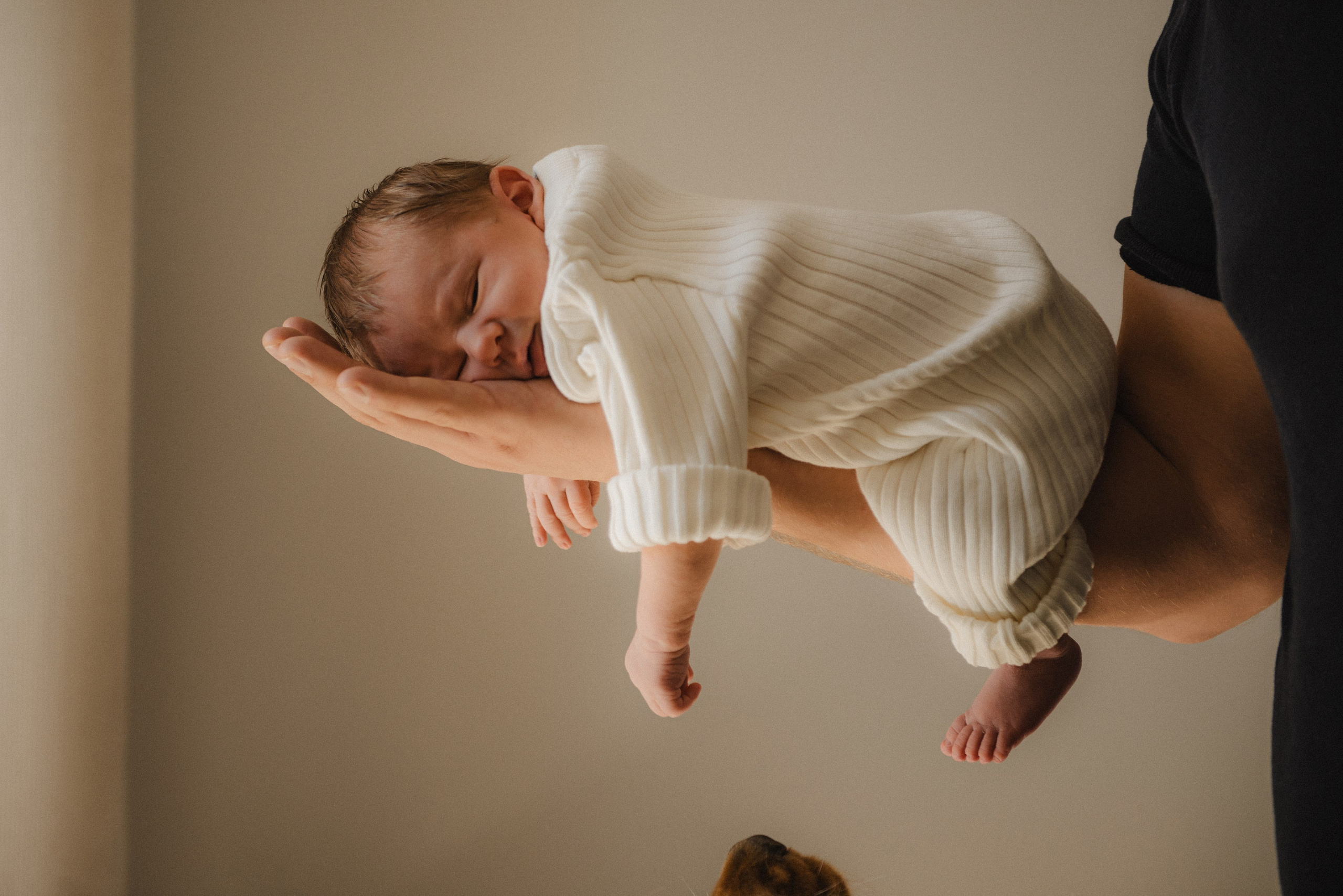 Вєня. Semashko Photography — весільне та сімейне фото, Олег І Наталі Семашко