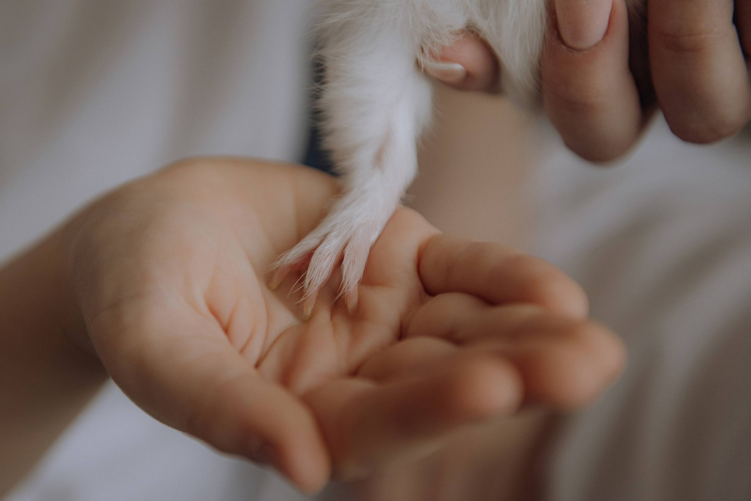 Гордєй. Semashko Photography — весільні та сімейні фотографи