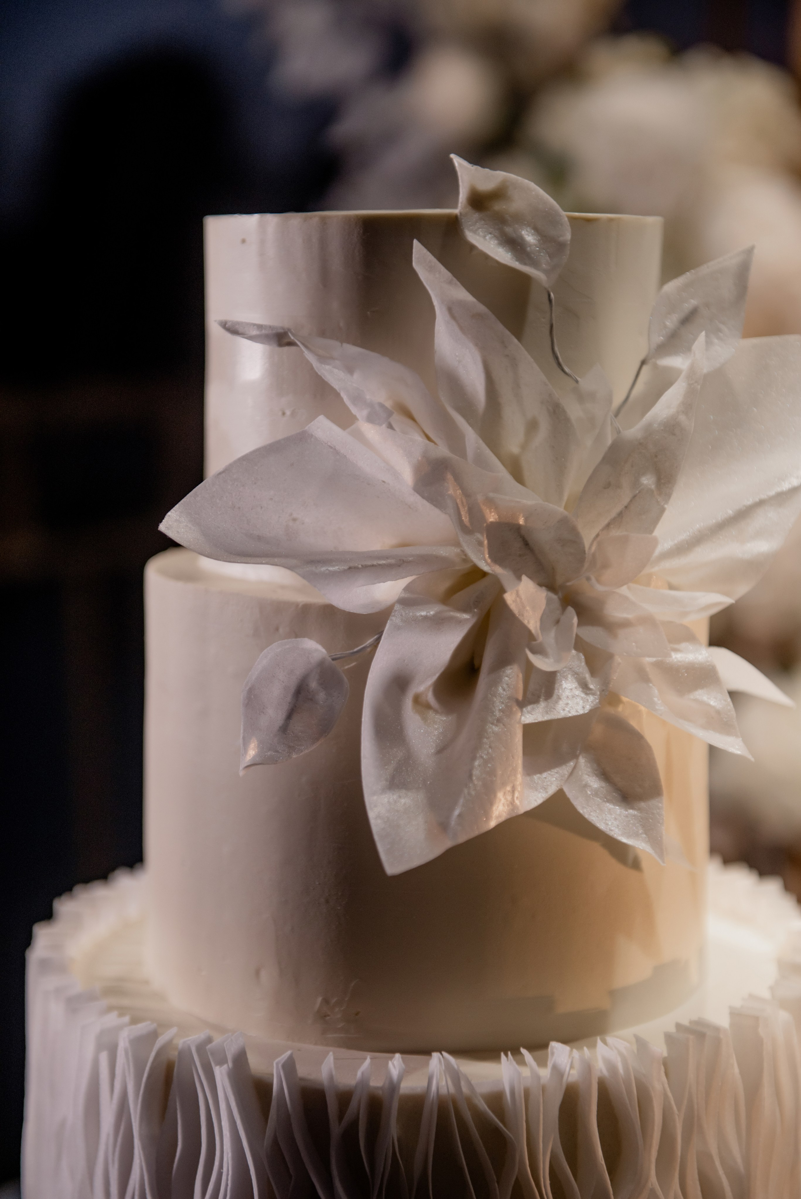 Катерина та Владислав. Semashko Photography — весільне та сімейне фото, Олег І Наталі Семашко