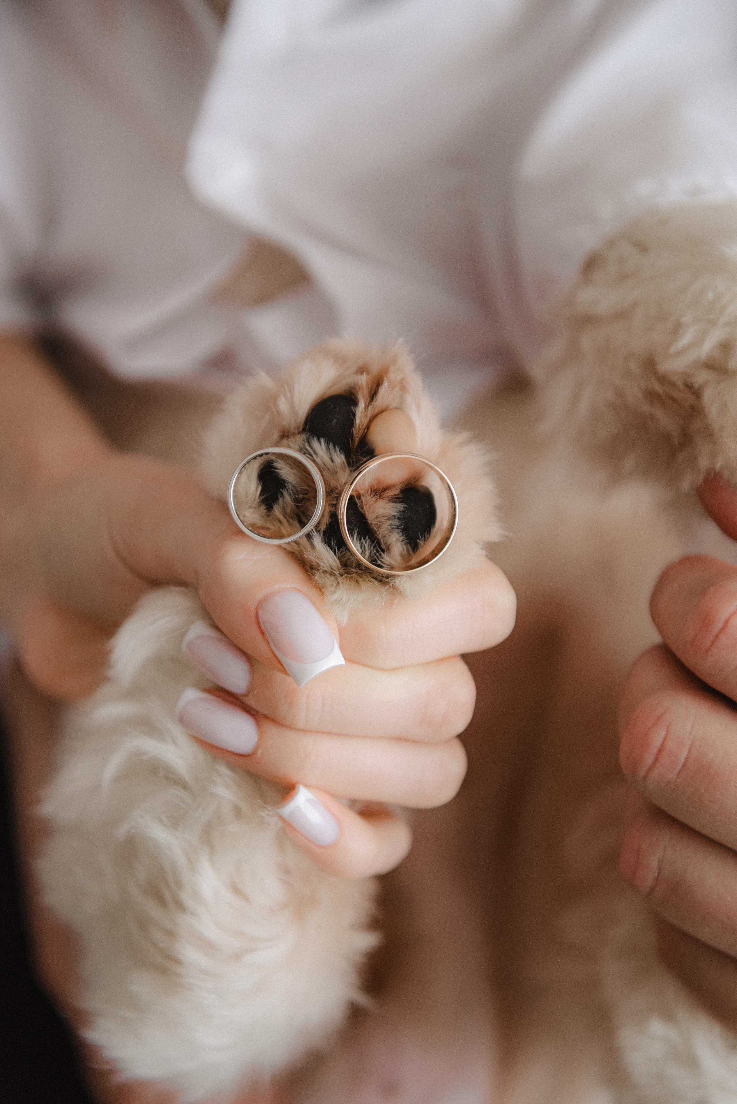 Анастасія та Владислав. Semashko Photography — весільне та сімейне фото, Олег І Наталі Семашко