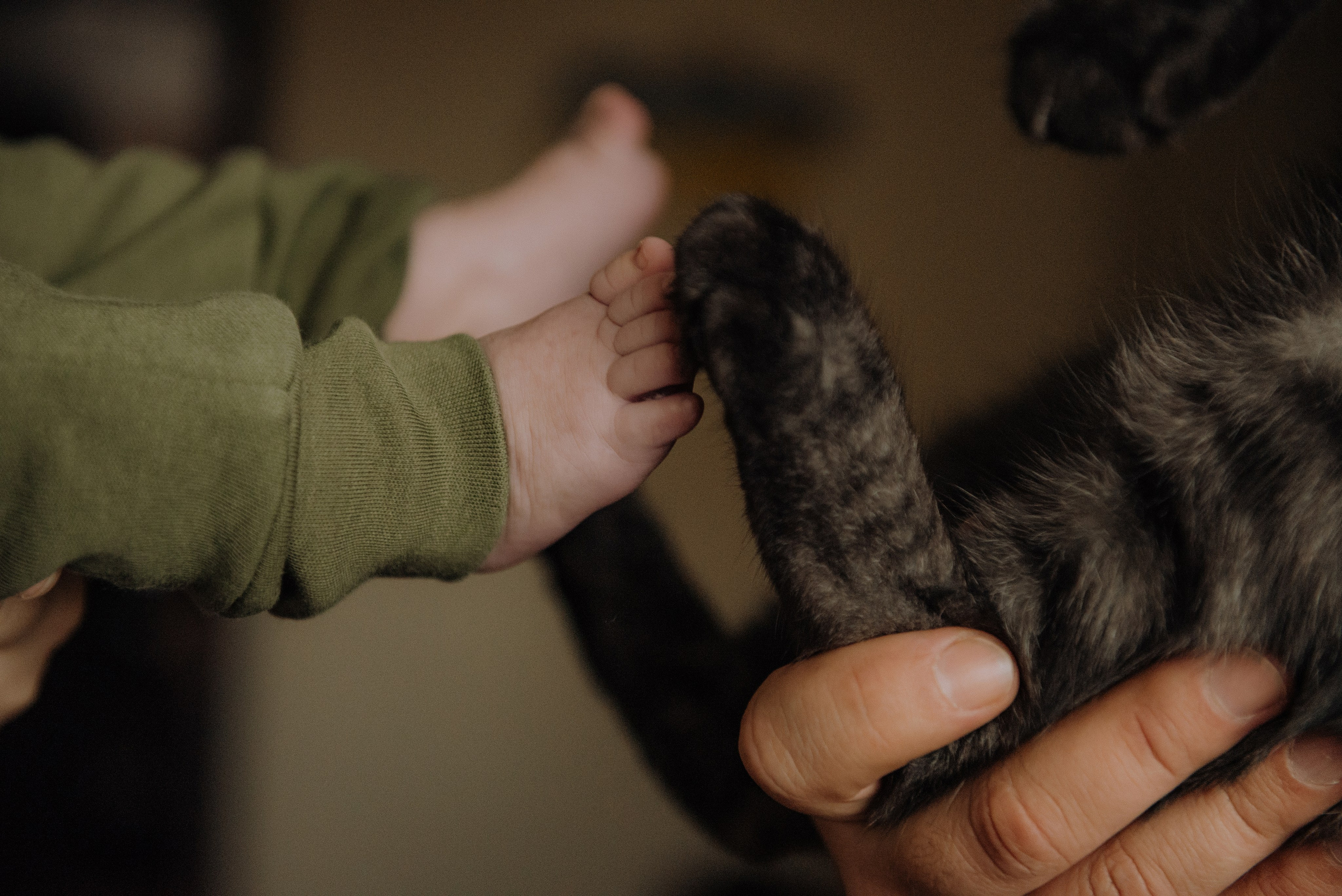 Давід домашня фотосесія. Semashko Photography — весільне та сімейне фото, Олег І Наталі Семашко