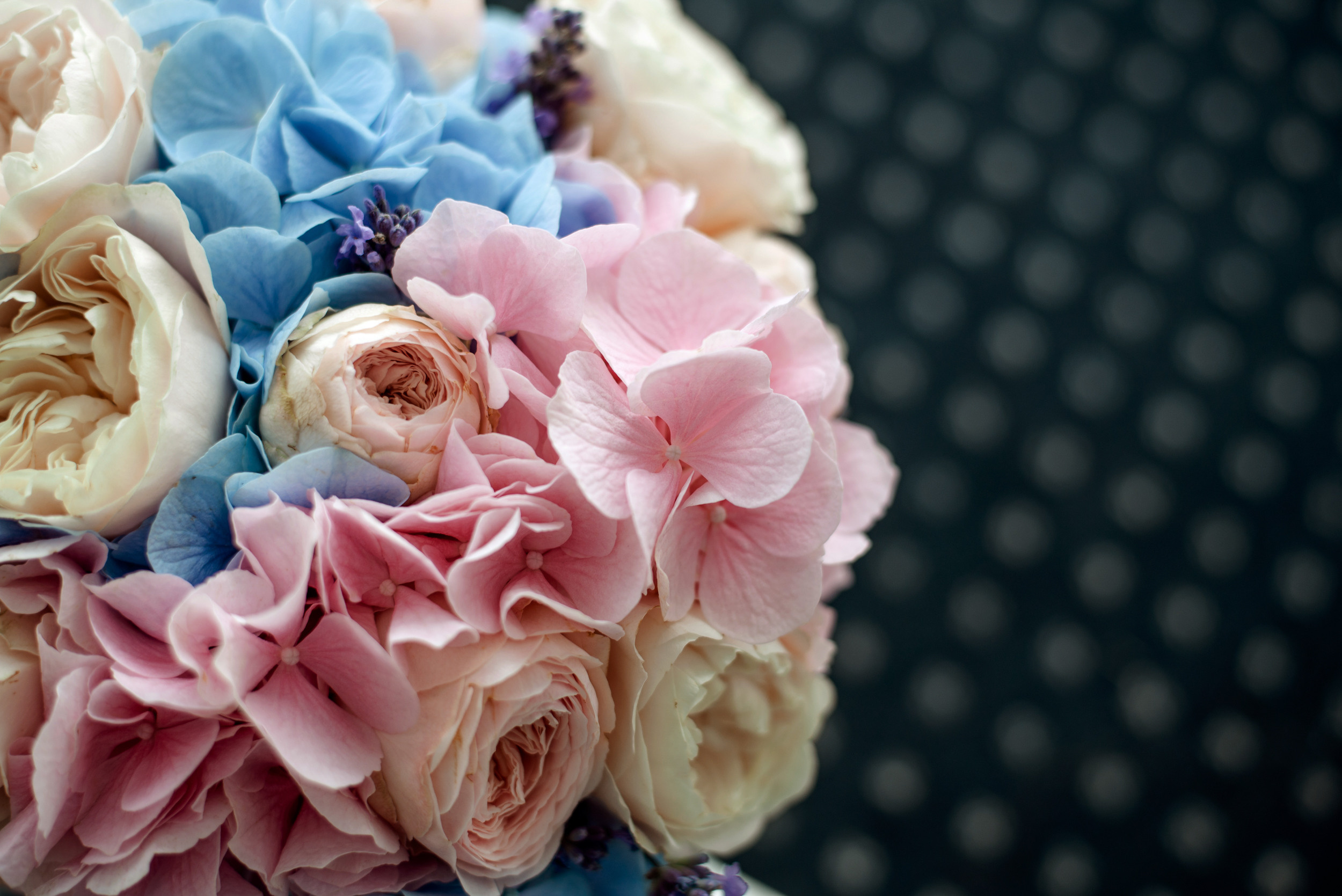 Violetta & Vitaly. Semashko Photography — весільні та сімейні фотографи