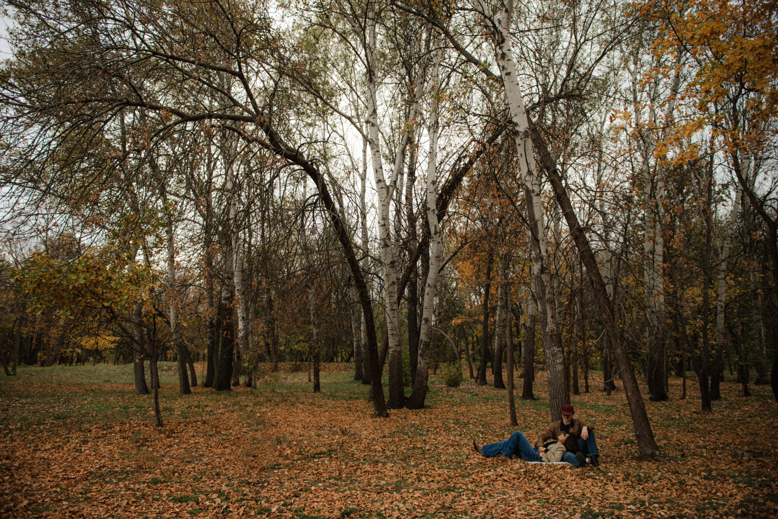 Лілія та Ілля. Semashko Photography — весільне та сімейне фото, Олег І Наталі Семашко
