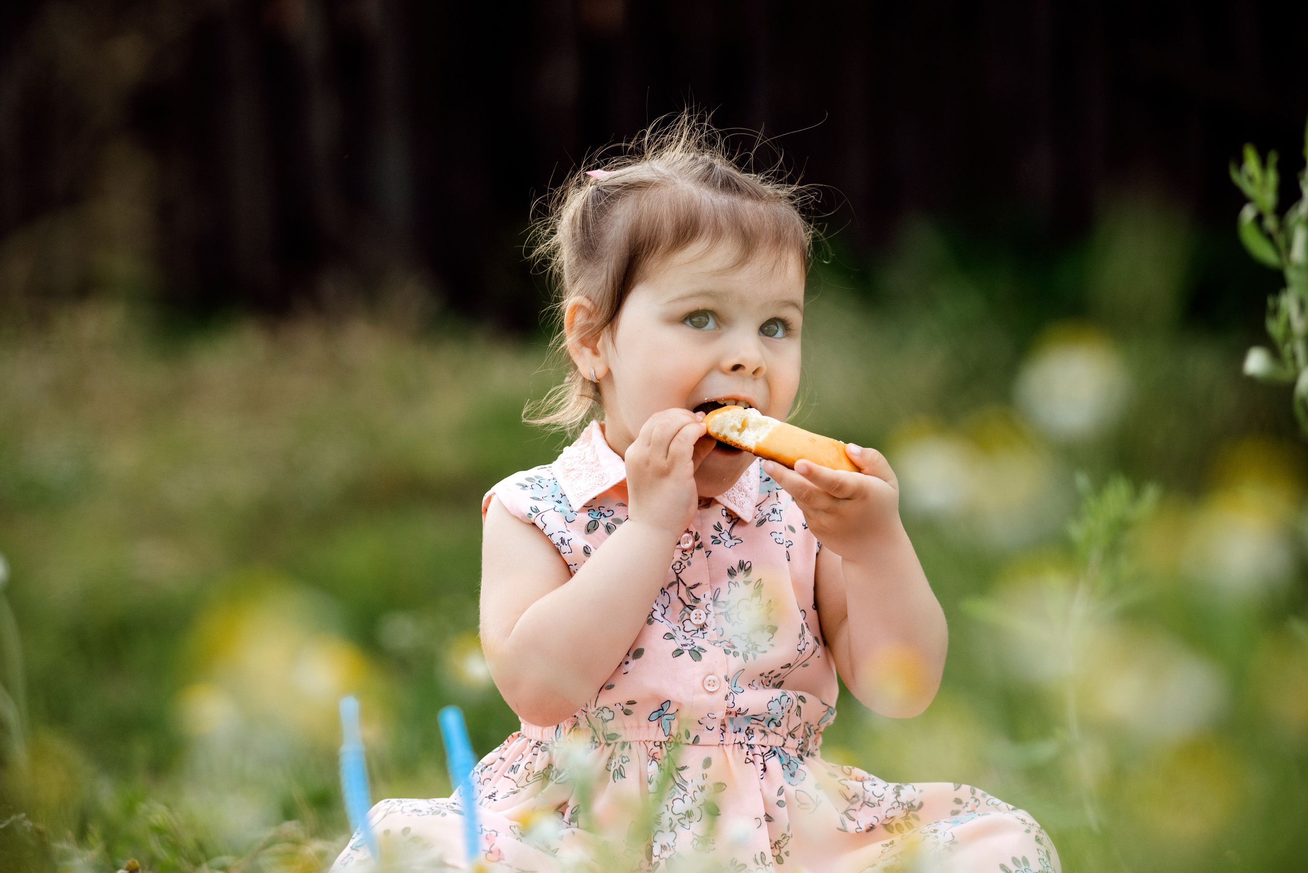 Emilia and family. Semashko Photography — весільні та сімейні фотографи