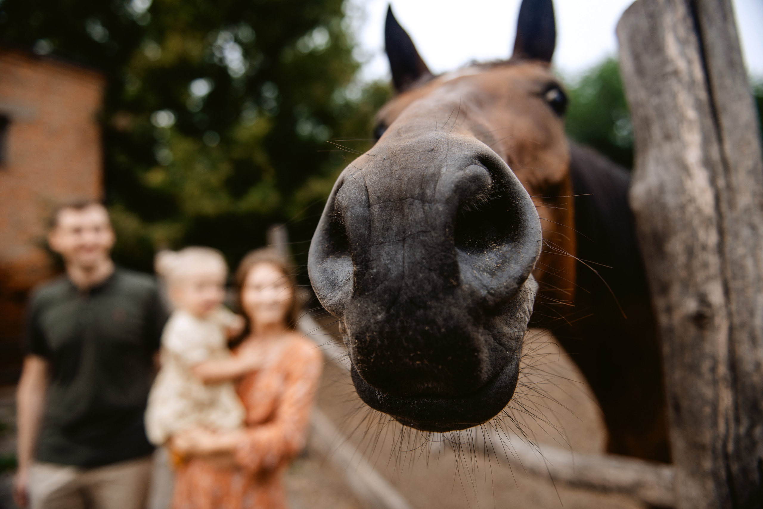 Олеся + Слава + Соломійка. Semashko Photography — весільне та сімейне фото, Олег І Наталі Семашко