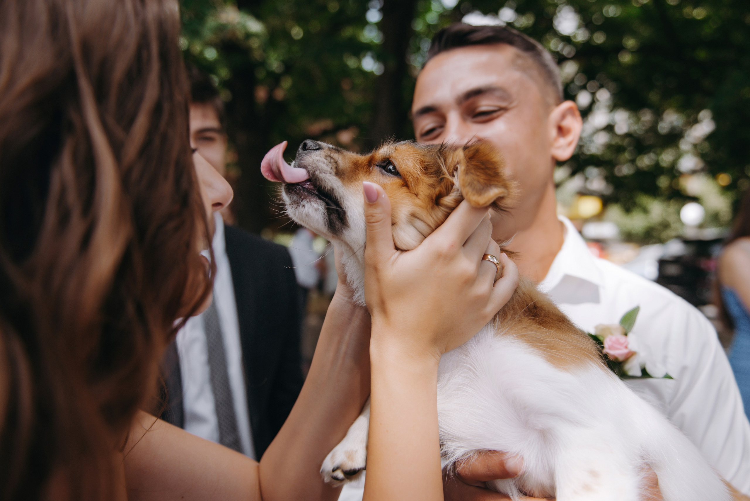 Оля та Сашко. Semashko Photography — весільне та сімейне фото, Олег І Наталі Семашко