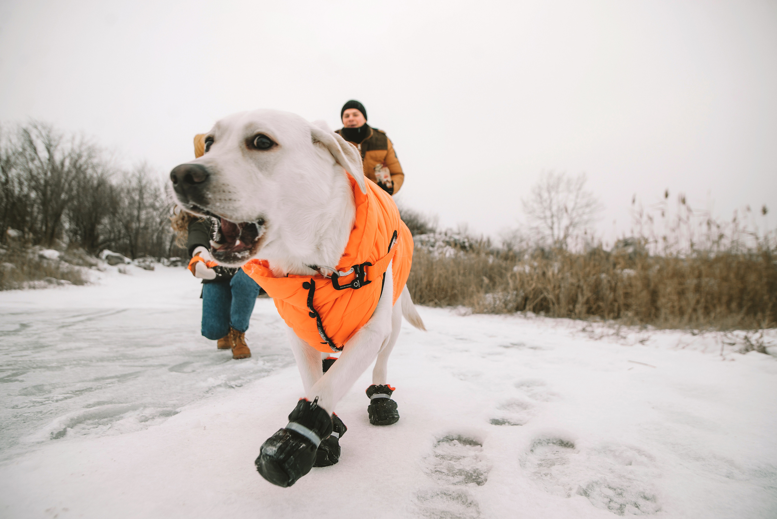 Маргарита і Денис. Semashko Photography — весільне та сімейне фото, Олег І Наталі Семашко