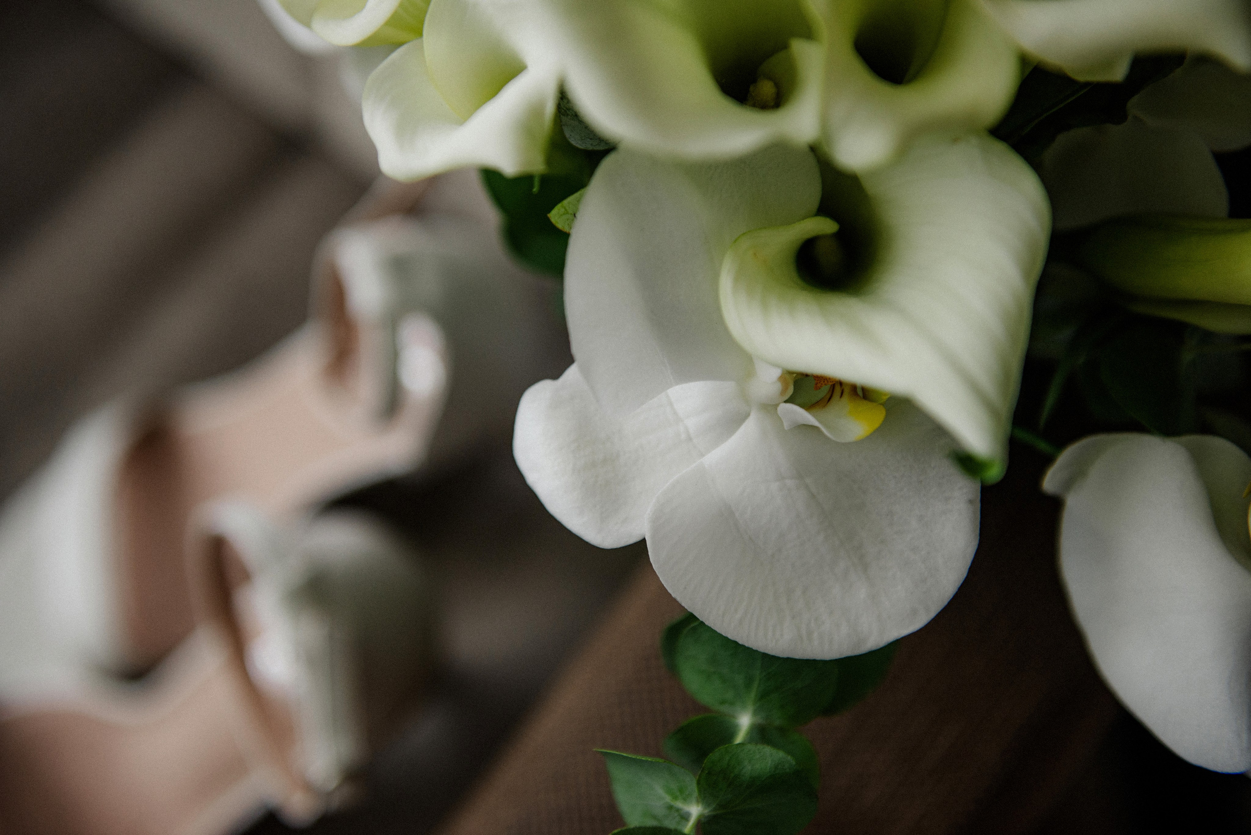 Сніжана та Владислав. Semashko Photography — весільне та сімейне фото, Олег І Наталі Семашко