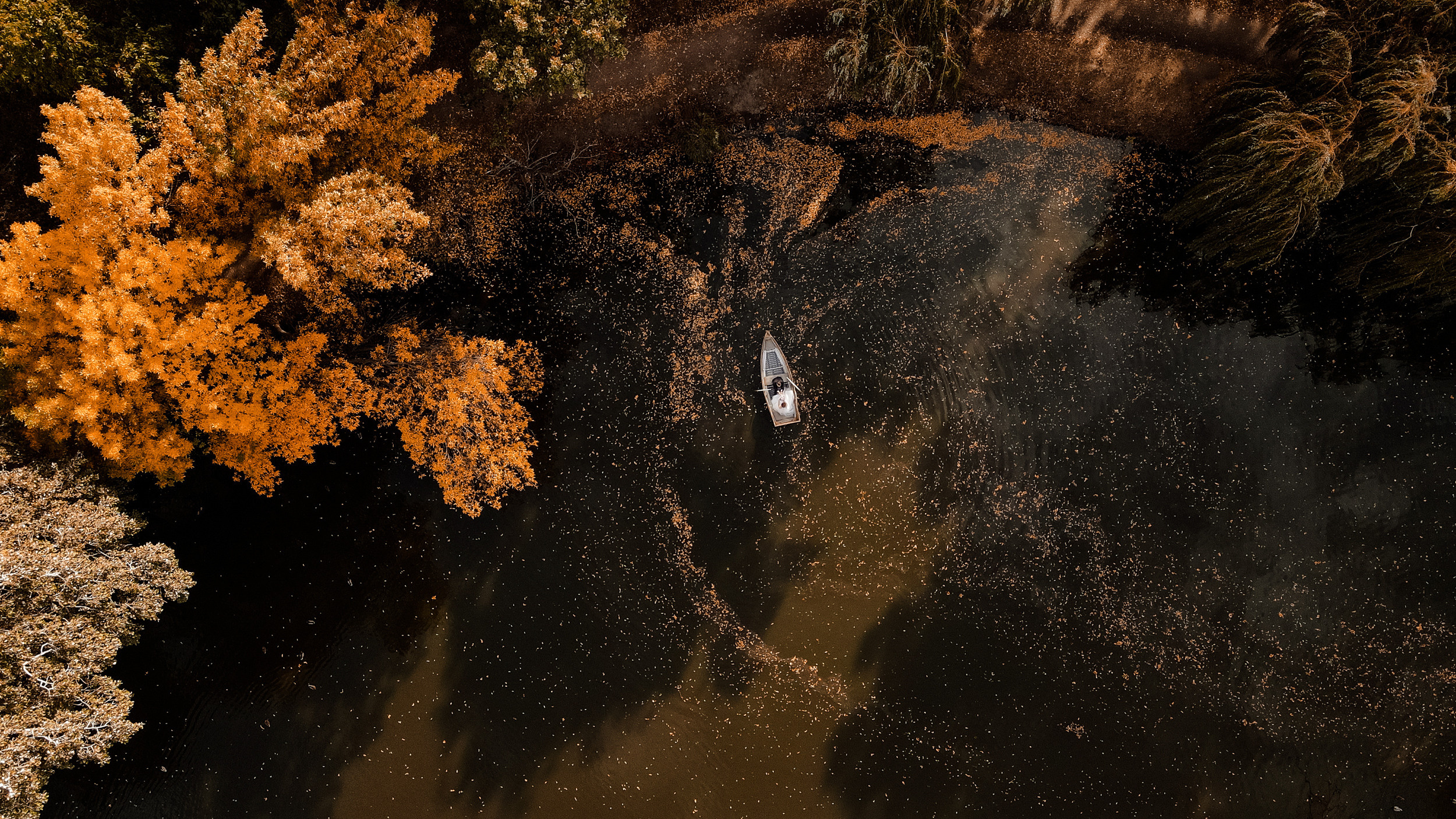Violetta & Vitaly. Semashko Photography — весільні та сімейні фотографи