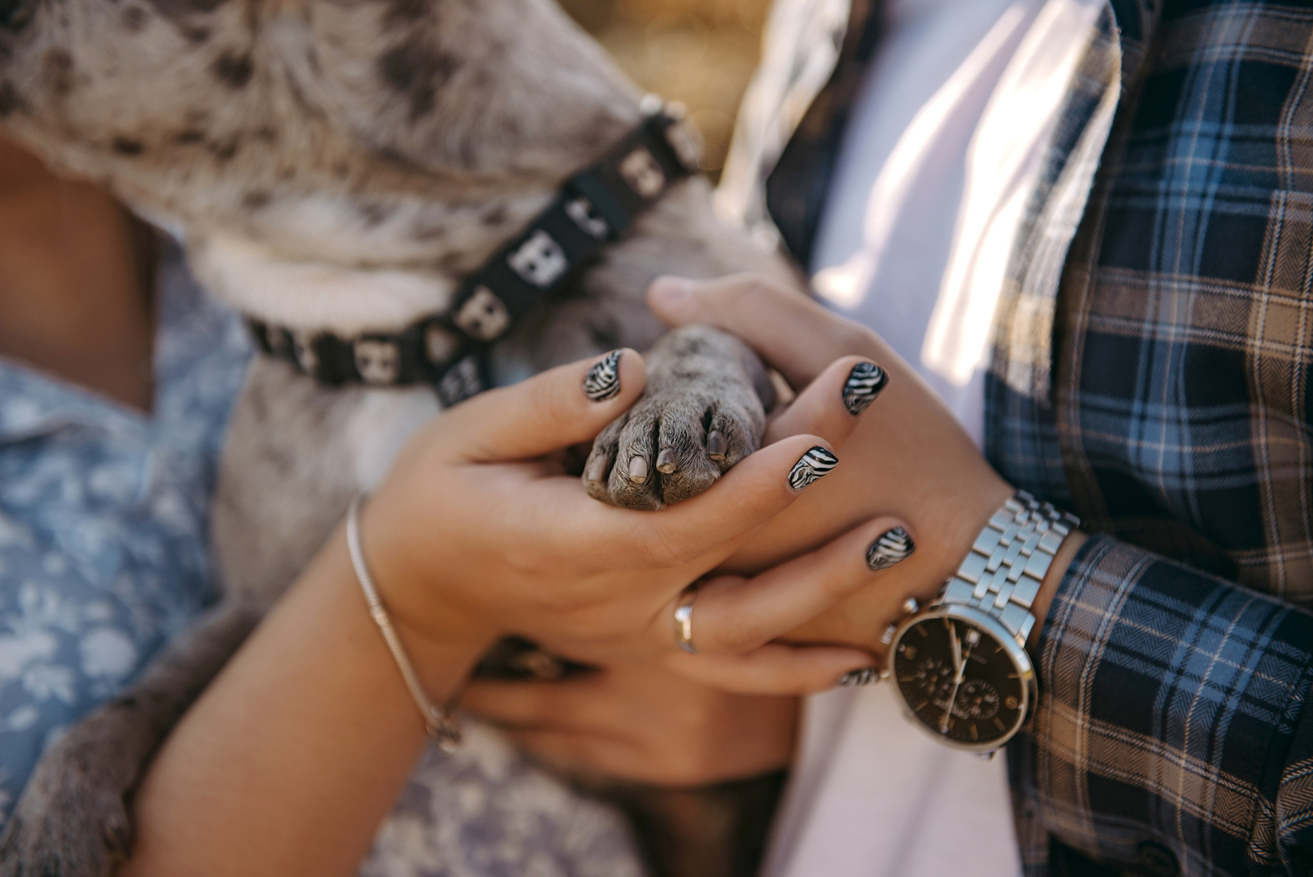 Ліза та Олександр. Semashko Photography — весільне та сімейне фото, Олег І Наталі Семашко