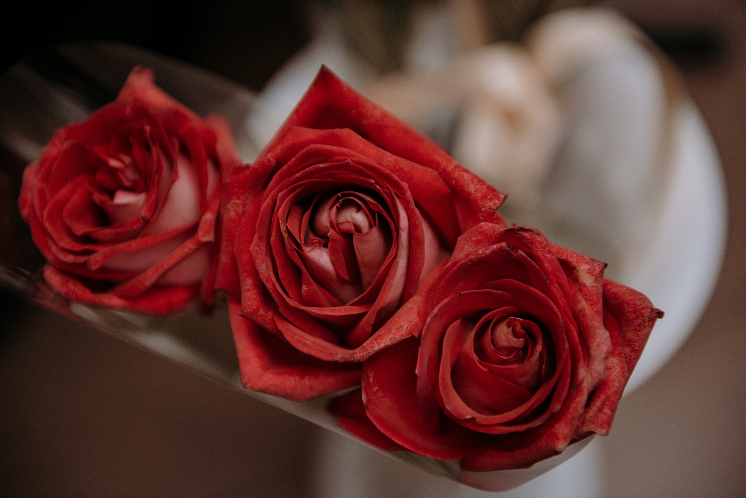 Відгуки. Semashko Photography — весільне та сімейне фото, Олег І Наталі Семашко