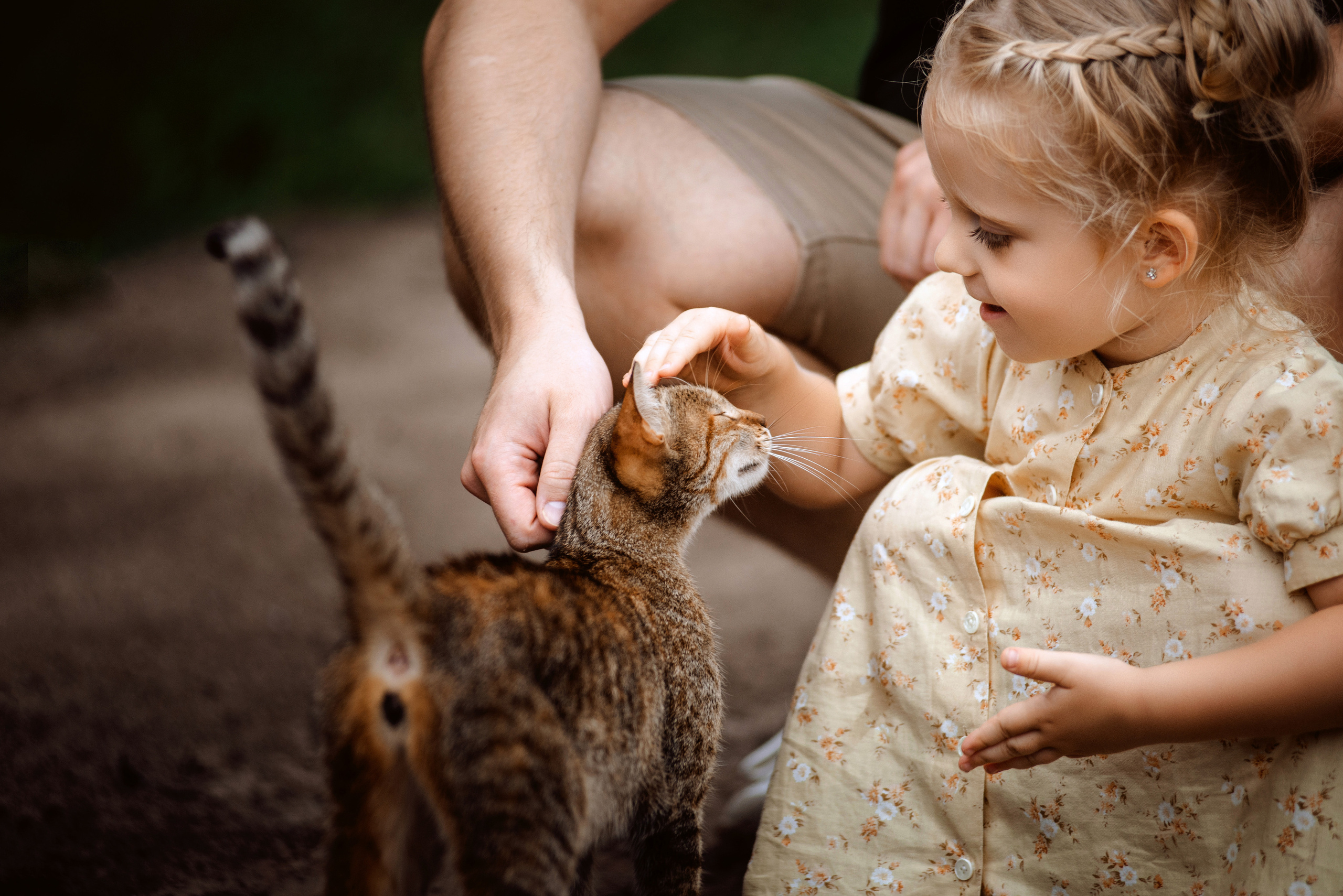Олеся + Слава + Соломійка. Semashko Photography — весільне та сімейне фото, Олег І Наталі Семашко