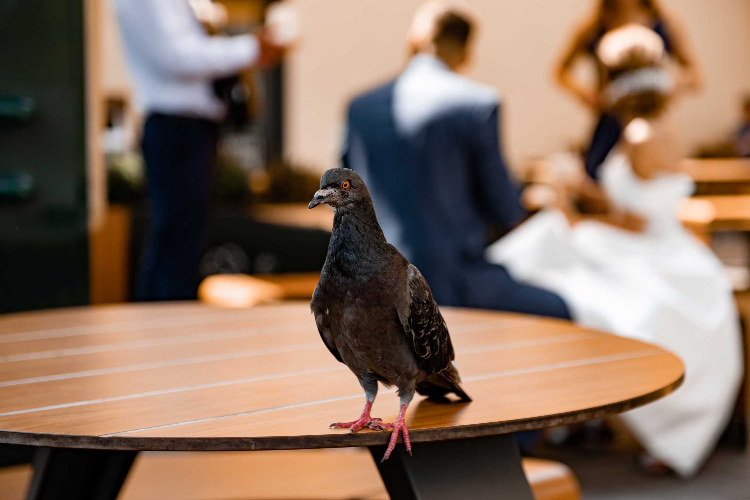 Даринка та Микита. Semashko Photography — весільне та сімейне фото, Олег І Наталі Семашко