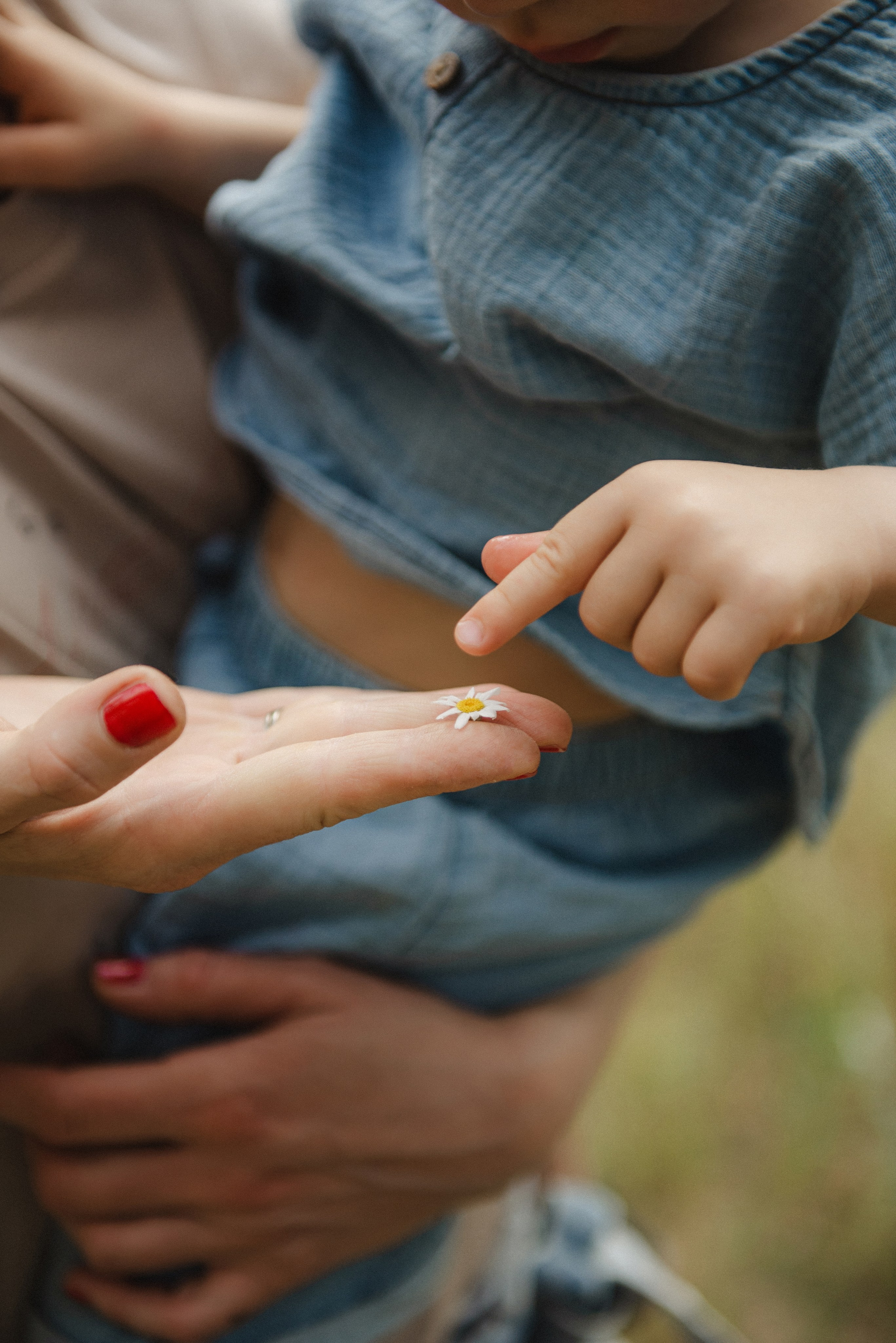 Богданчик. Semashko Photography — весільне та сімейне фото, Олег І Наталі Семашко