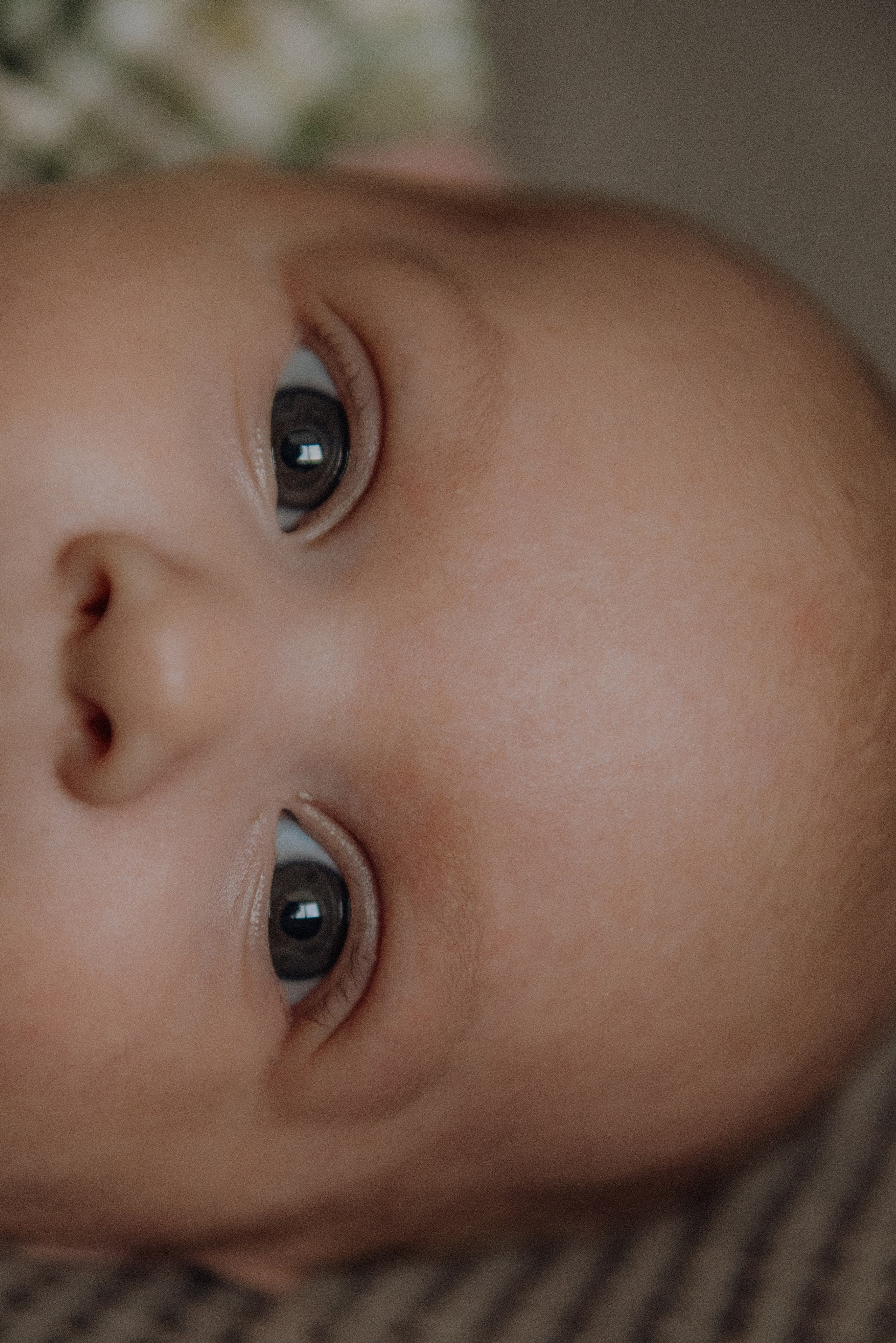 Давід домашня фотосесія. Semashko Photography — весільне та сімейне фото, Олег І Наталі Семашко