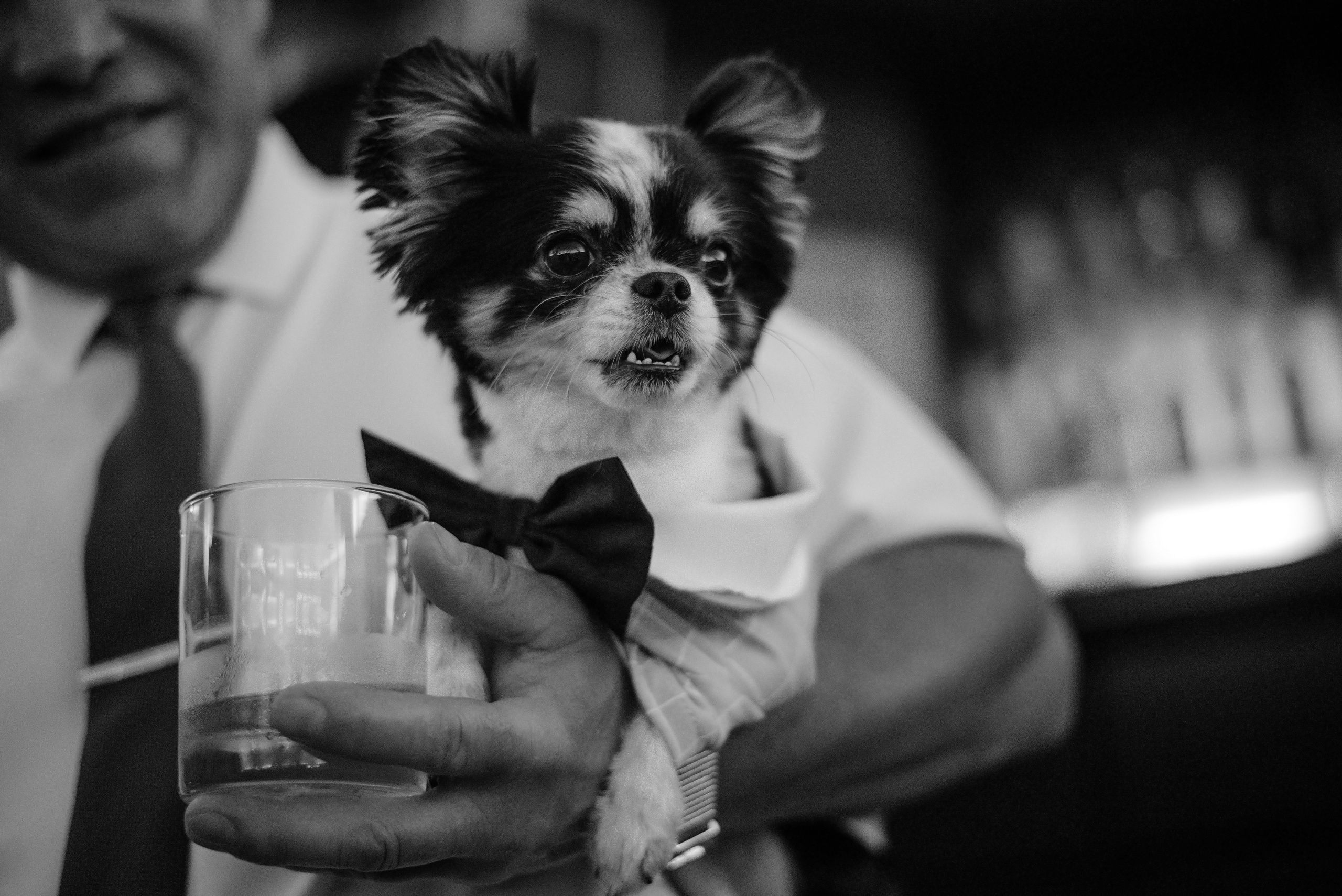 Анна и Виталий. Semashko Photography — весільне та сімейне фото, Олег І Наталі Семашко