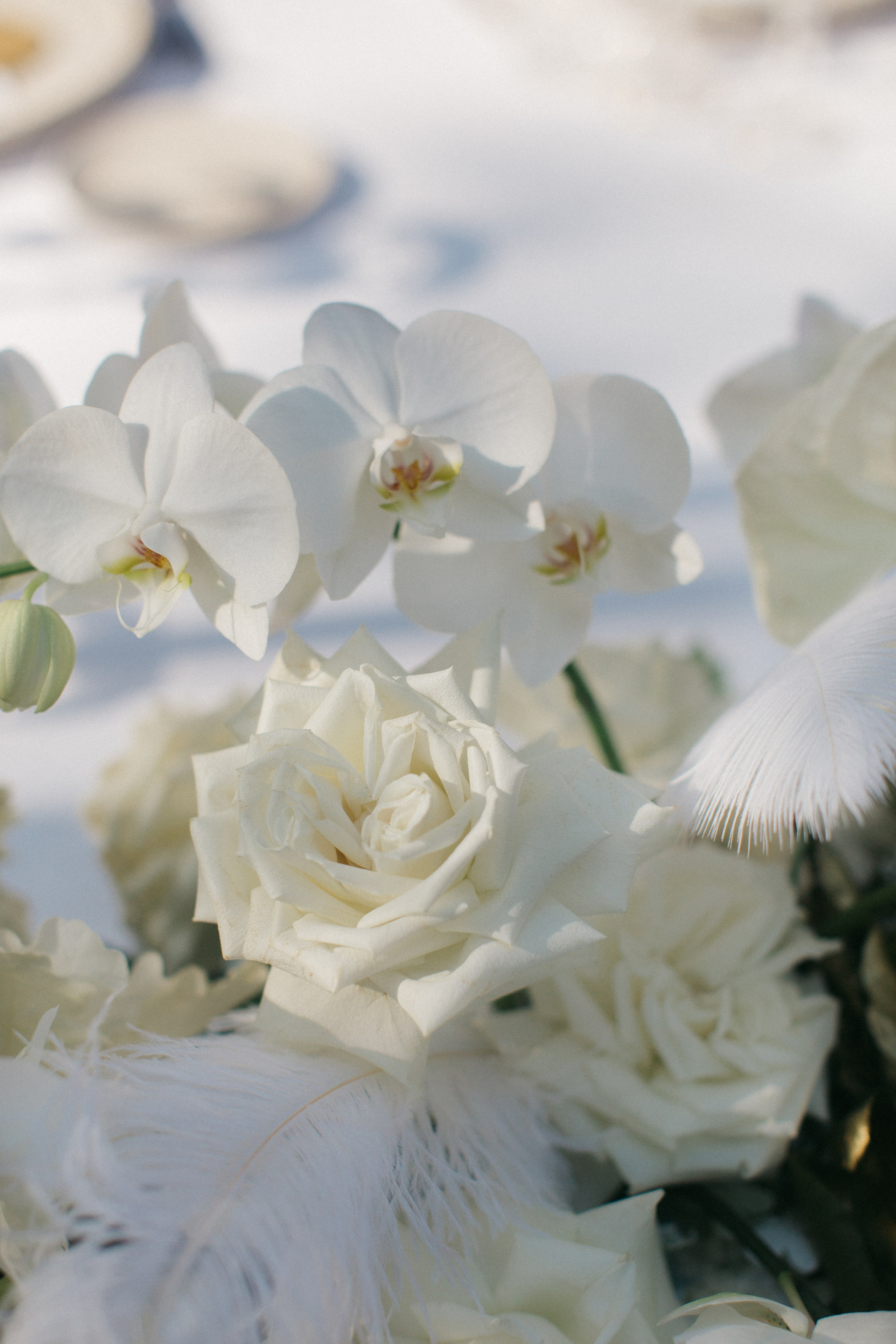 CHERISH & RADEK. Luxury wedding photographer in Italy | Irina Armonia