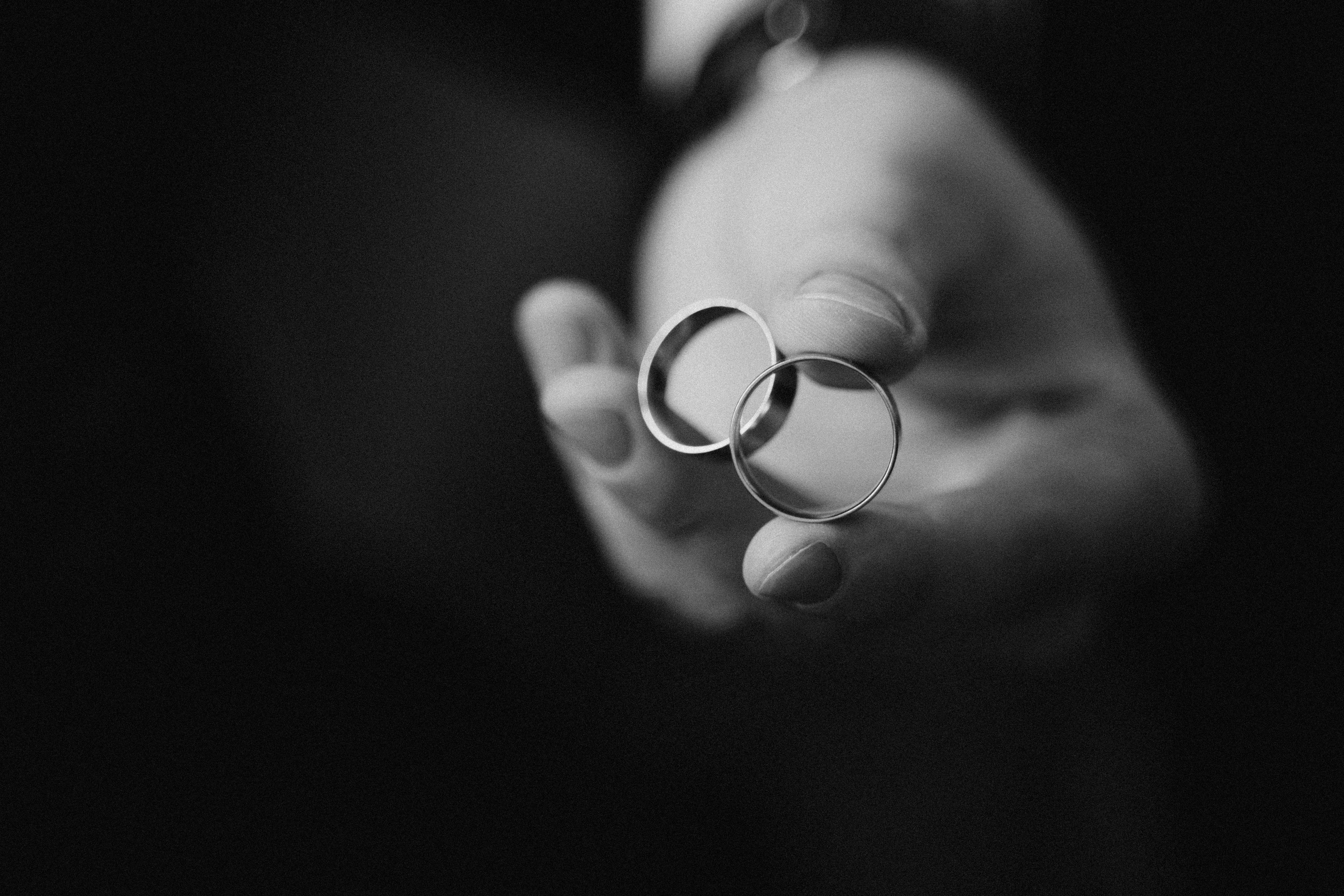 Віталій та Ольга. Avocado Film — фото та відео зйомка