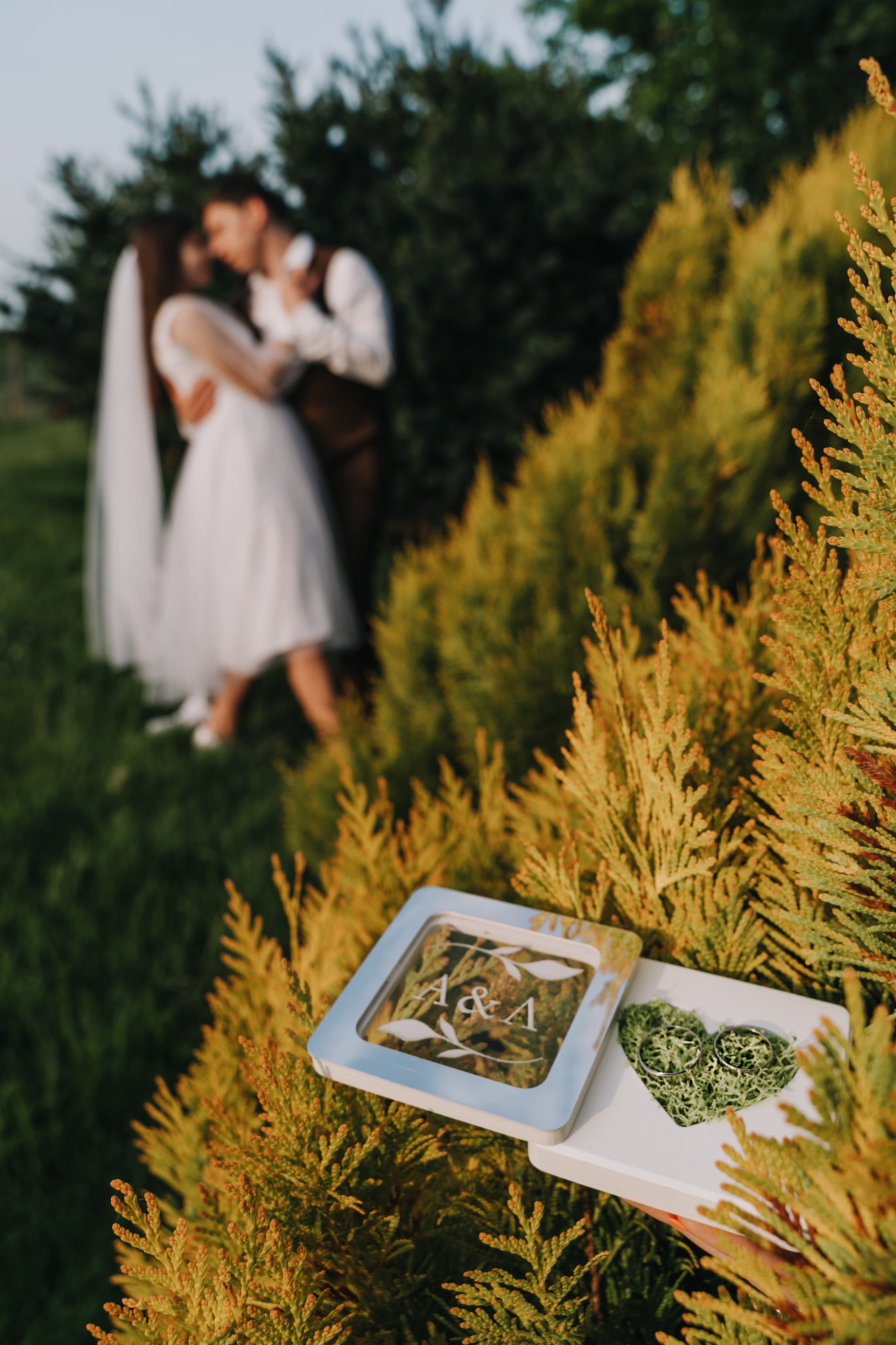 Артур та Лена. Avocado Film — фото та відео зйомка