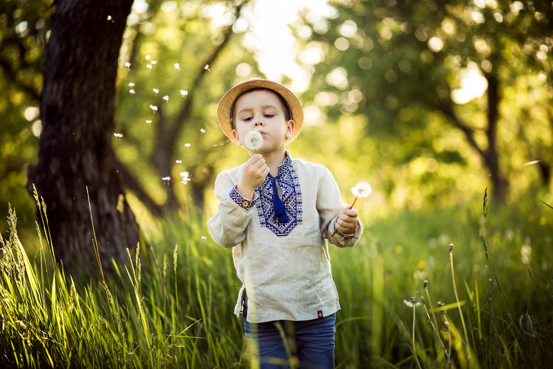 Шинкаруки. Avocado Film — фото та відео зйомка