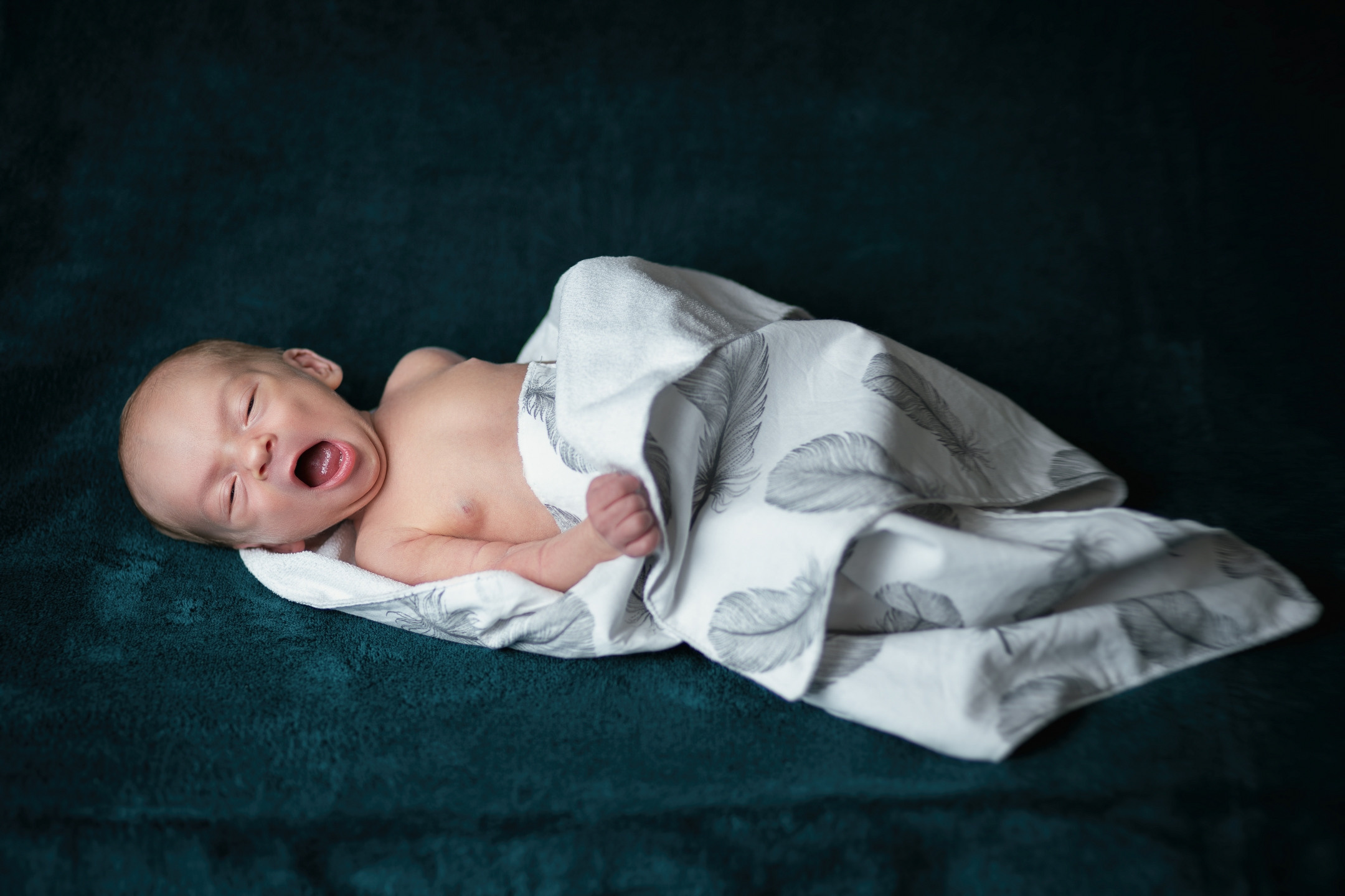 Максим. Avocado Film — фото та відео зйомка