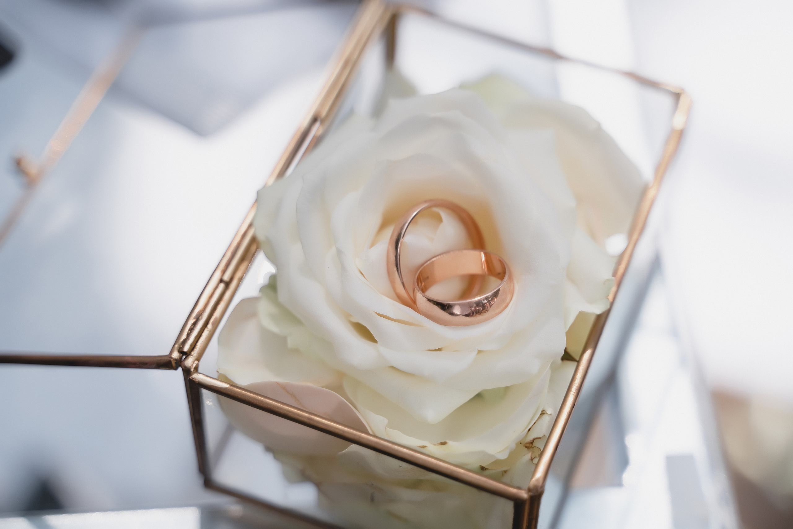 Олександр та Анна. Avocado Film — фото та відео зйомка