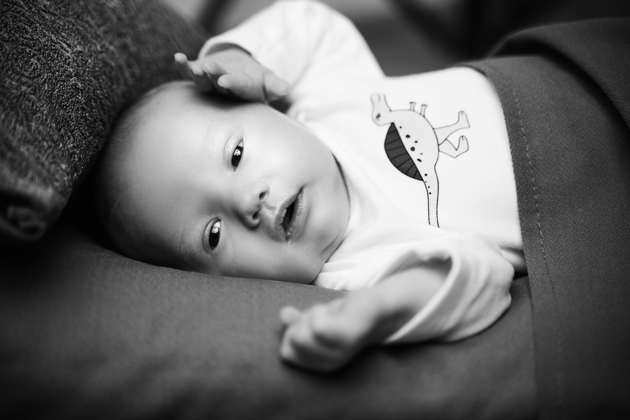 Илюша. Avocado Film — фото та відео зйомка