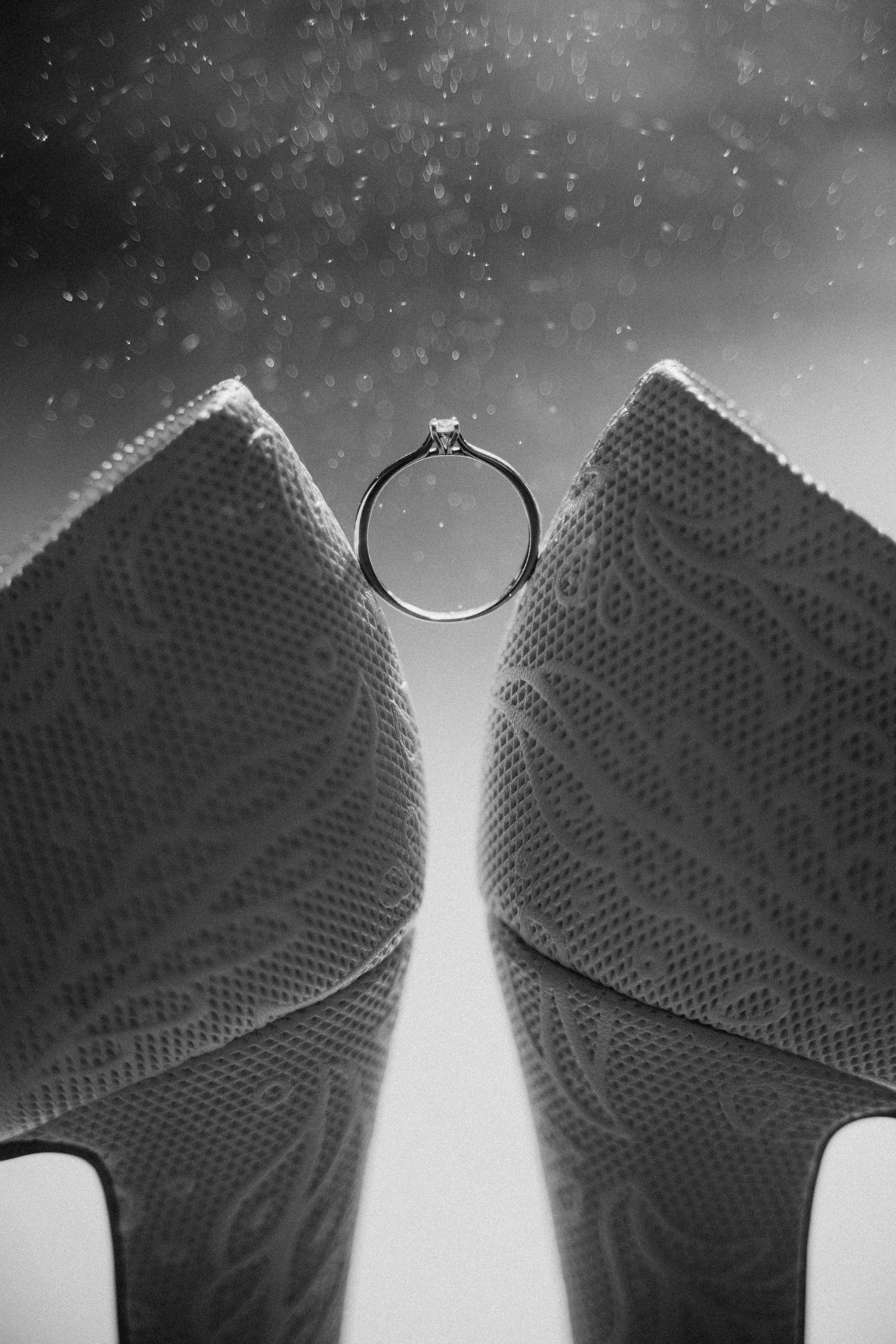 Віталій та Ольга. Avocado Film — фото та відео зйомка