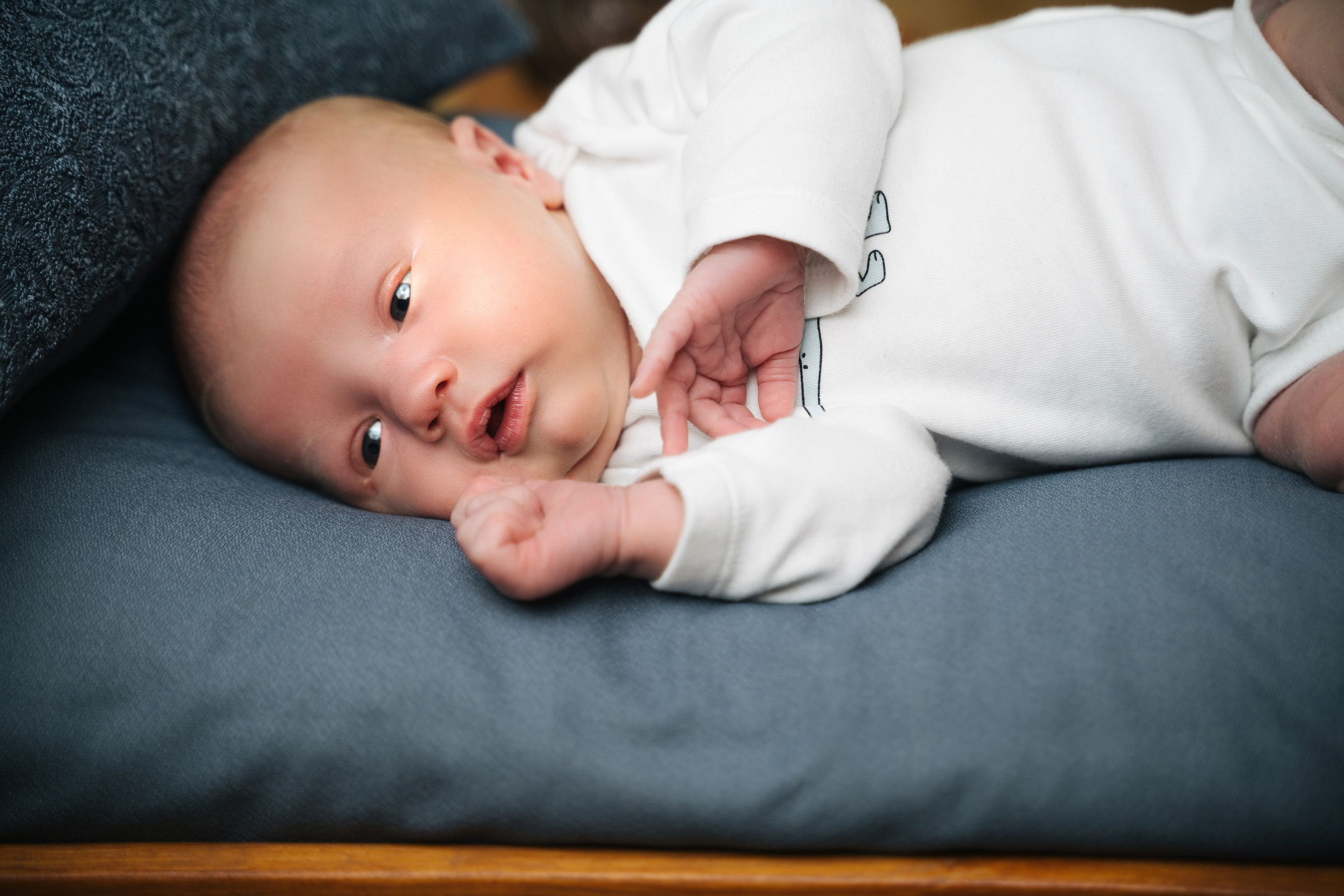 Илюша. Avocado Film — фото та відео зйомка