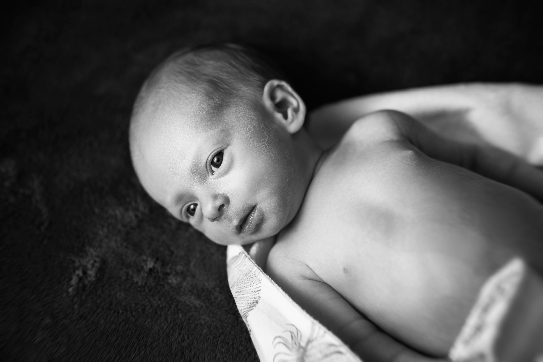 Максим. Avocado Film — фото та відео зйомка